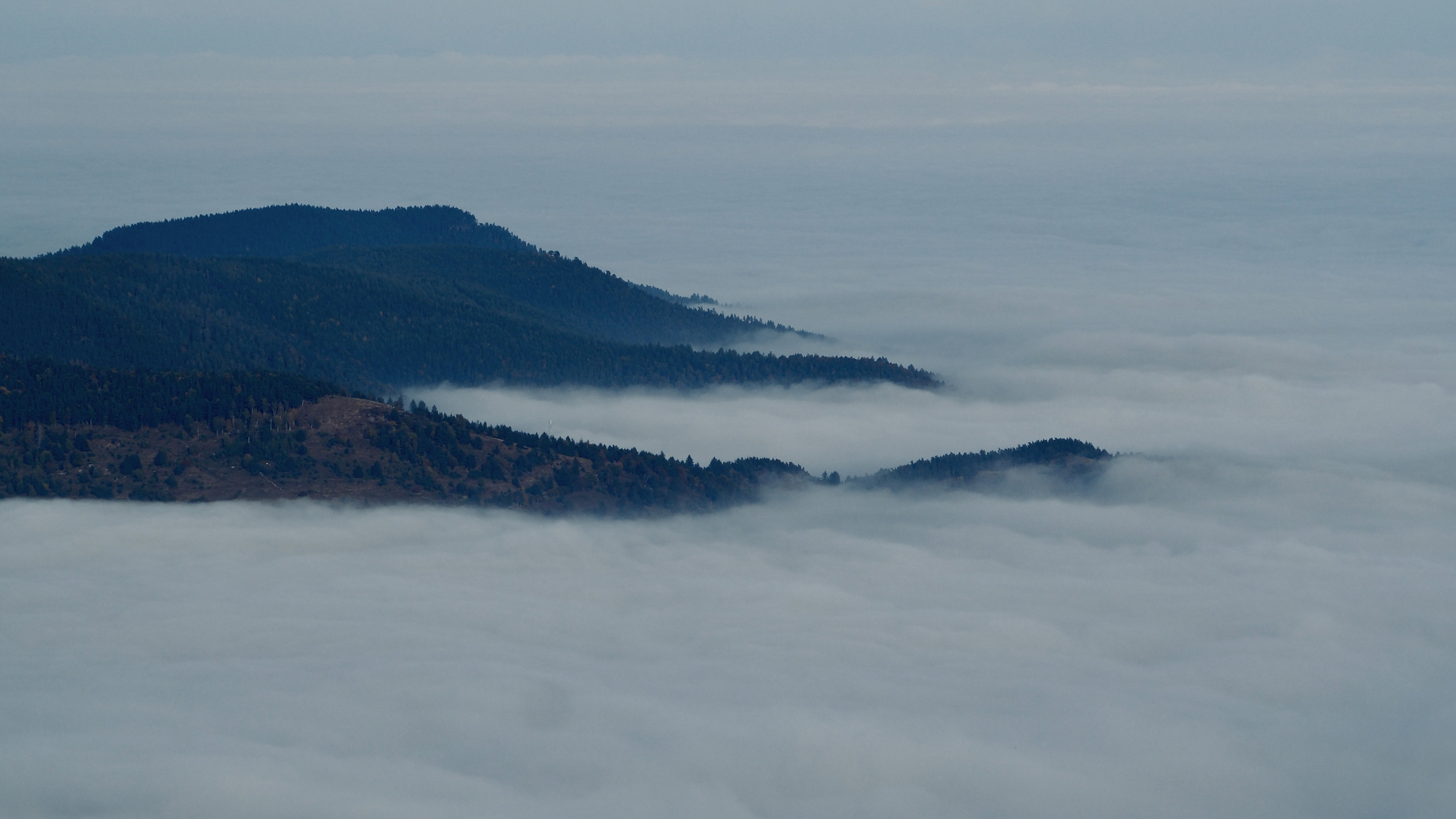 Sea of clouds above the Vosges