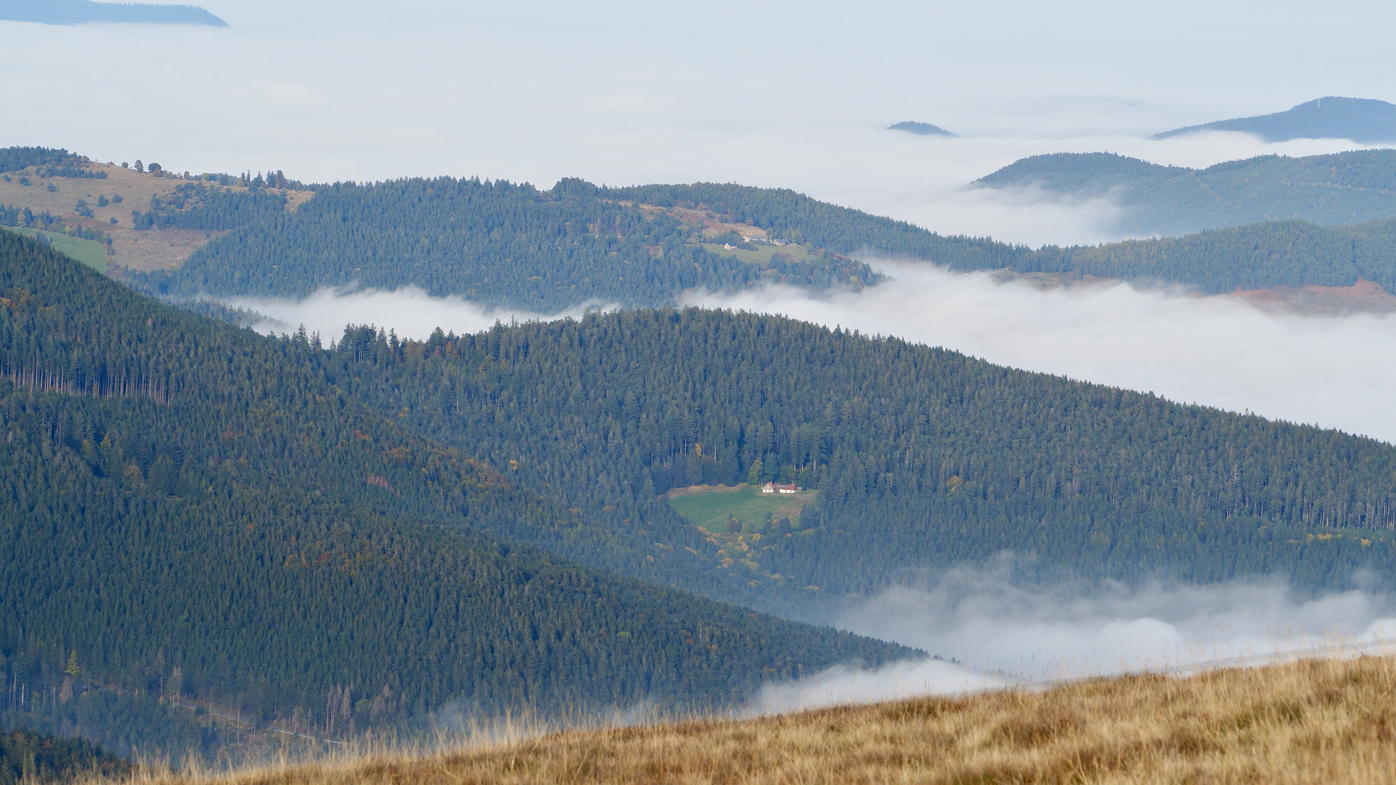 Sea of clouds above the Vosges