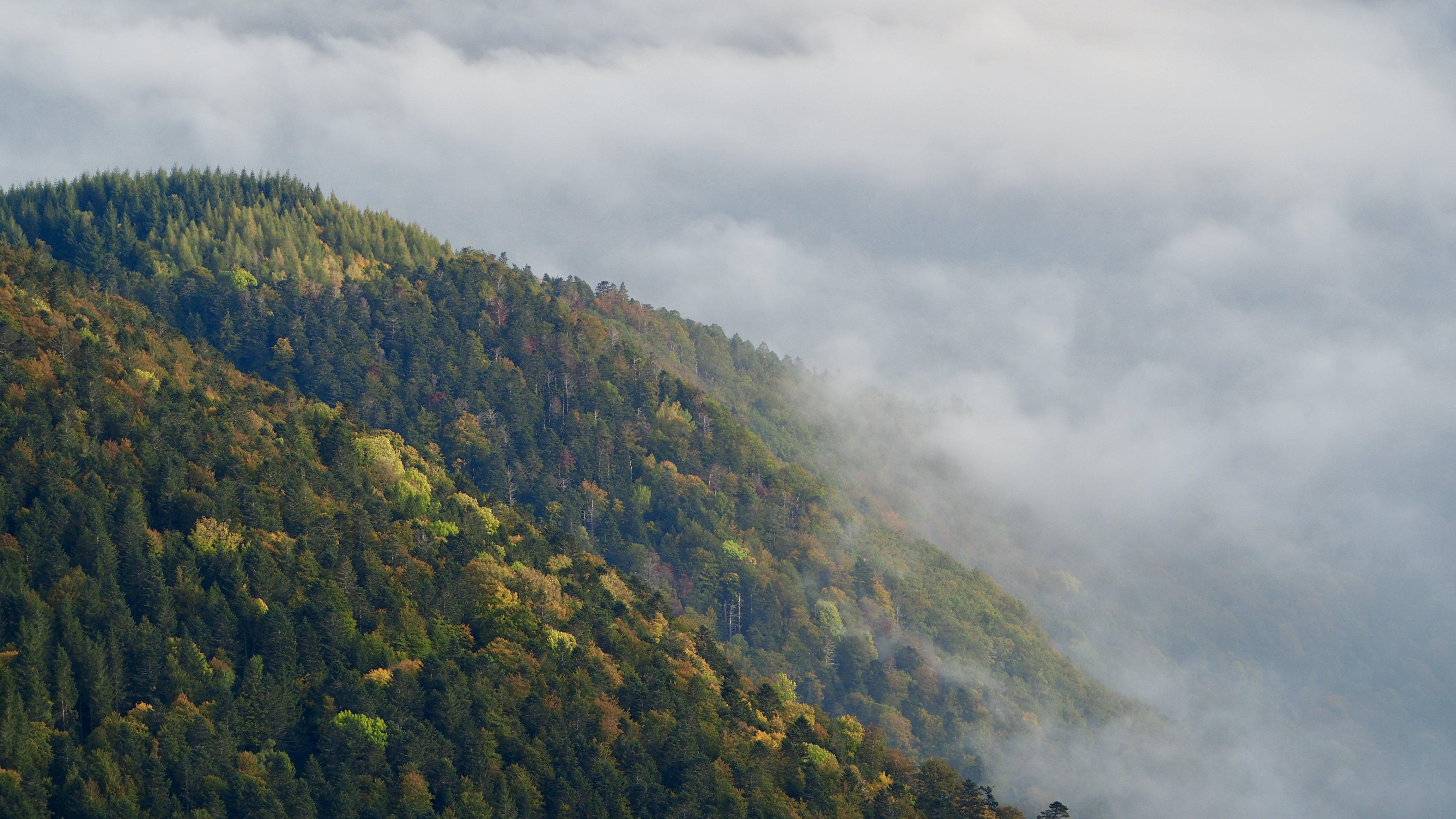 Sea of clouds above the Vosges