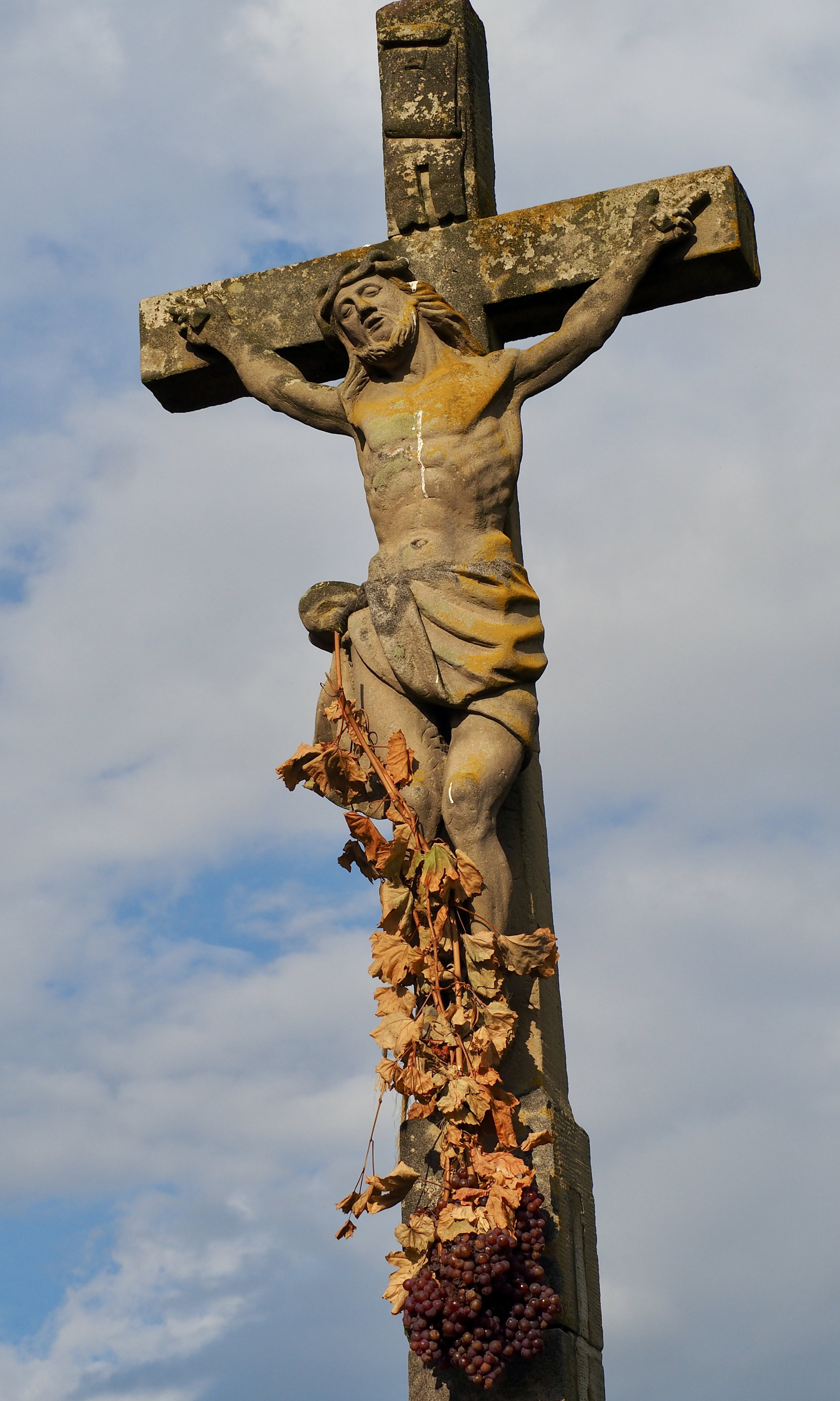 From forests to hills, from hills to vineyards, in autumn, in Alsace