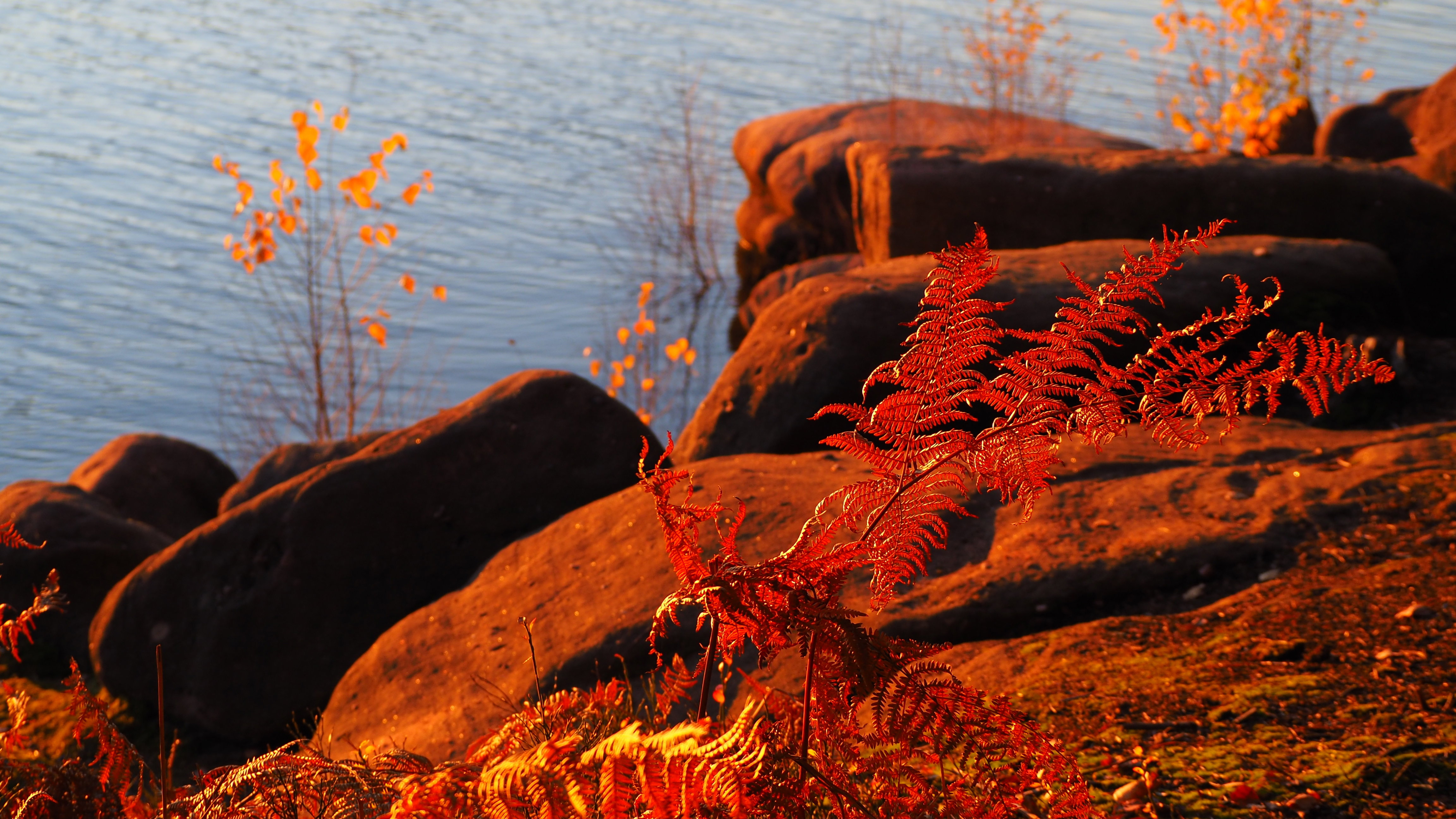 An autumn day in the Vosges