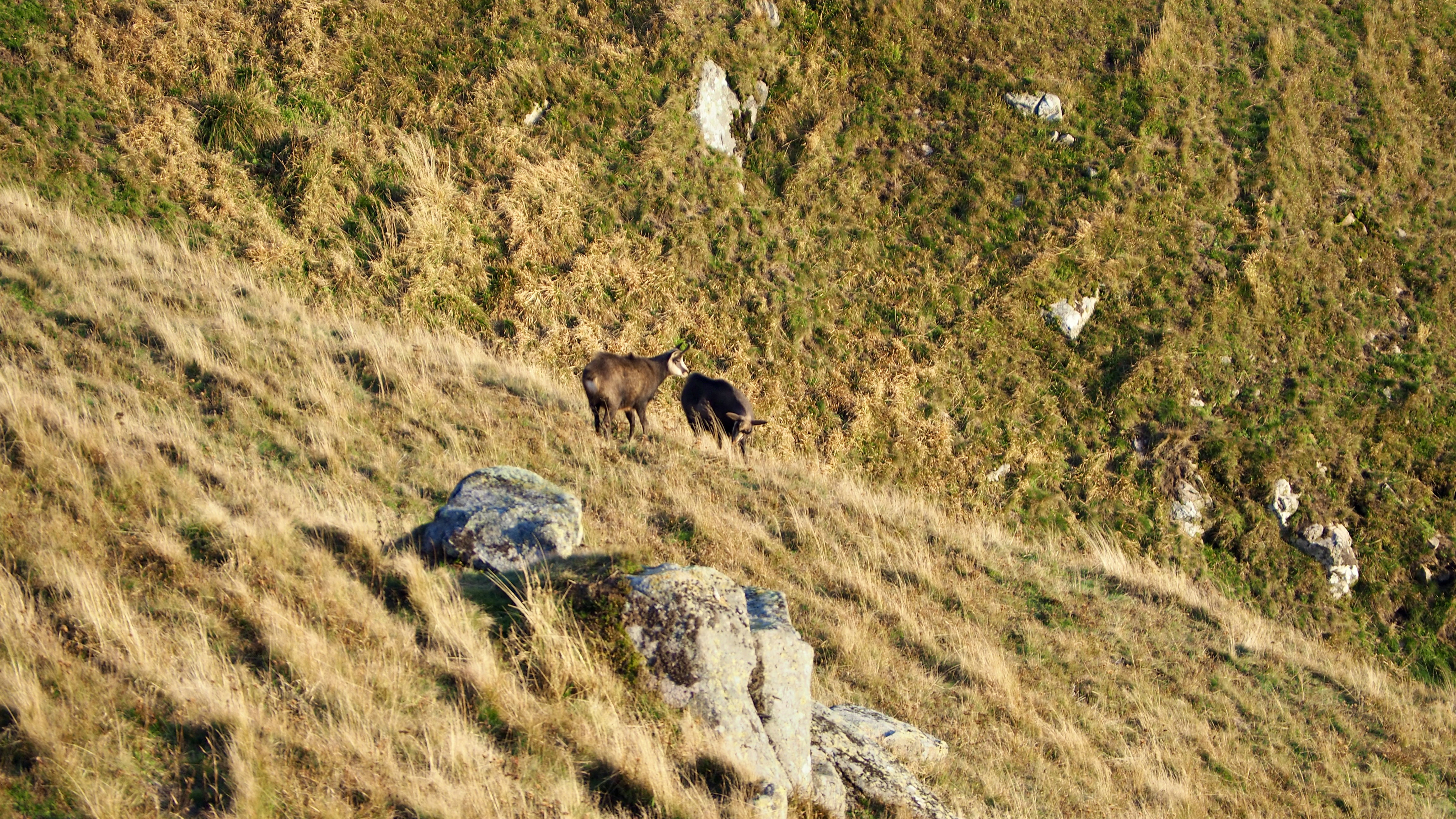 In the heart of the blue line of the Vosges