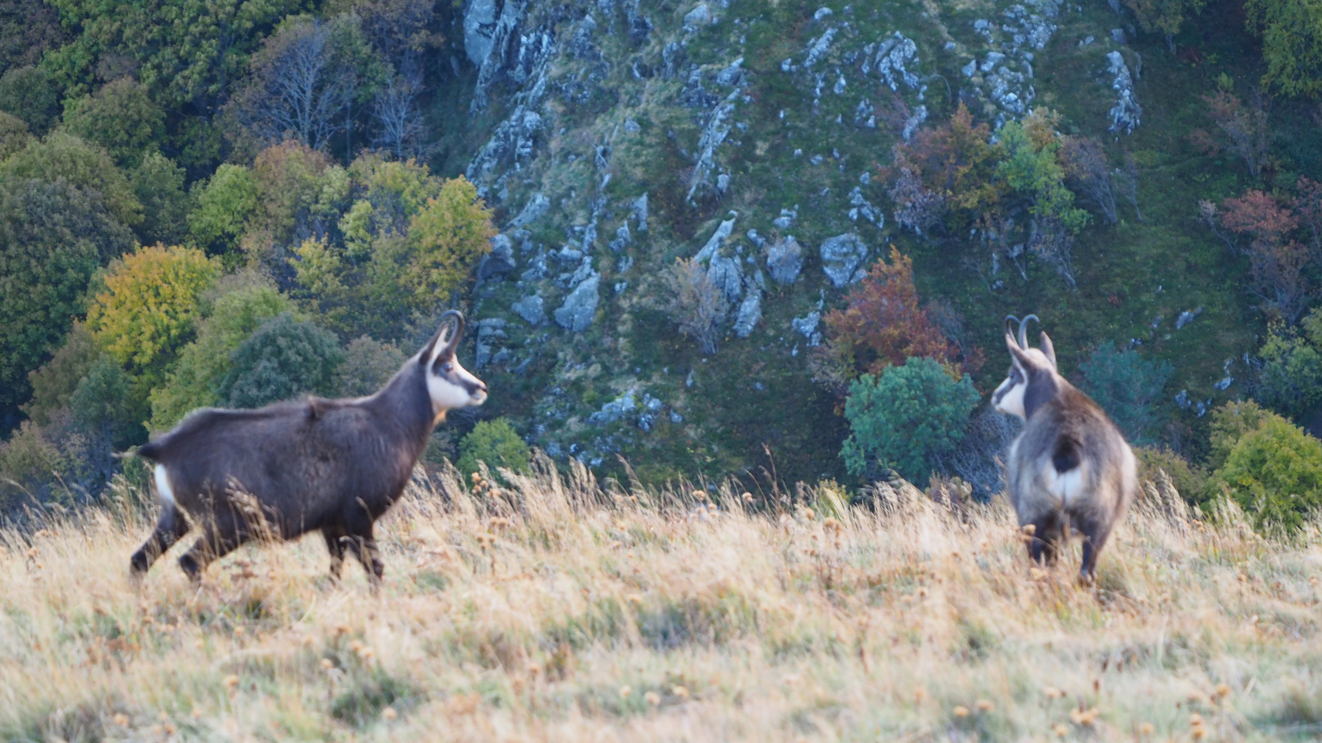 In the heart of the blue line of the Vosges