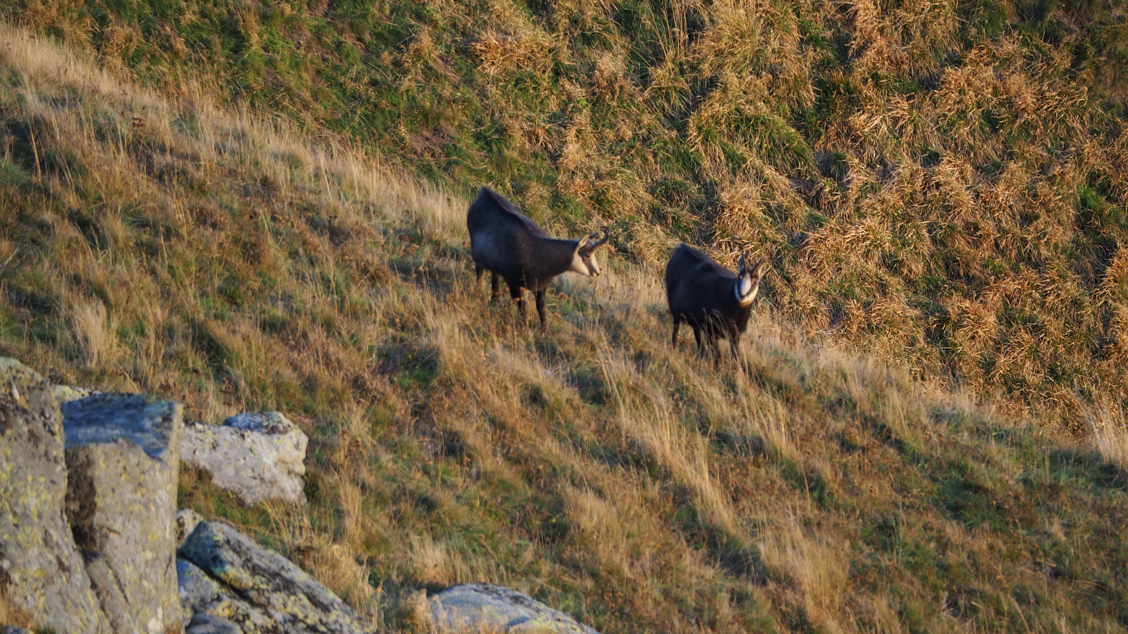 In the heart of the blue line of the Vosges