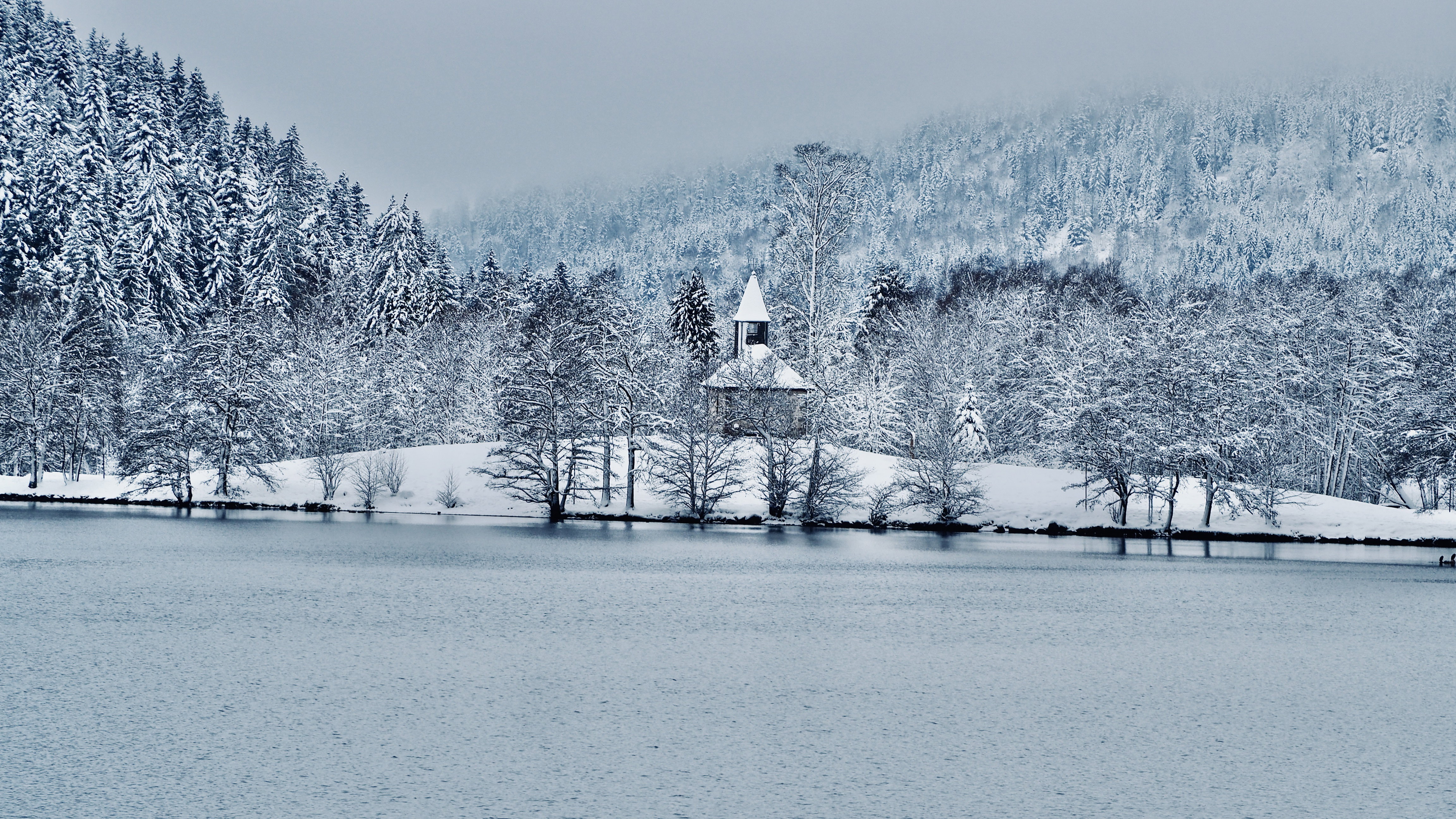 End of November, first snow in the Vosges