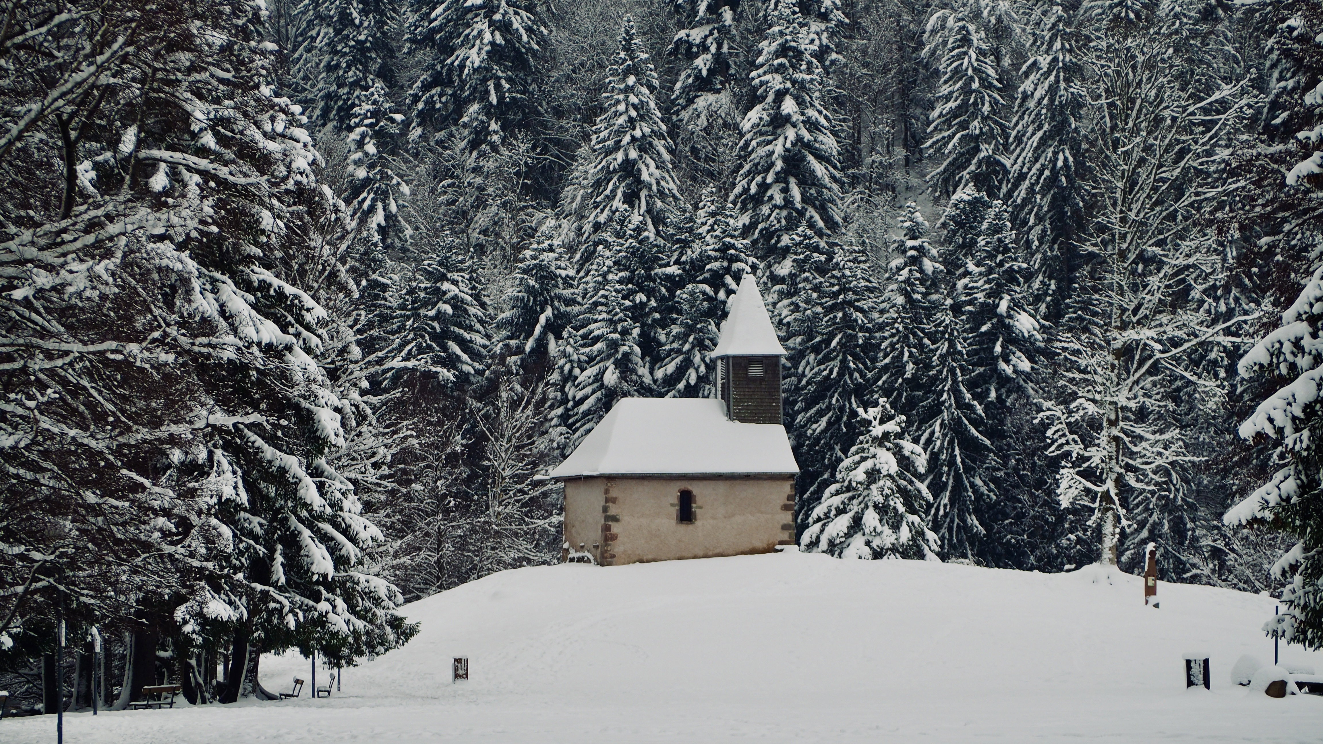 End of November, first snow in the Vosges