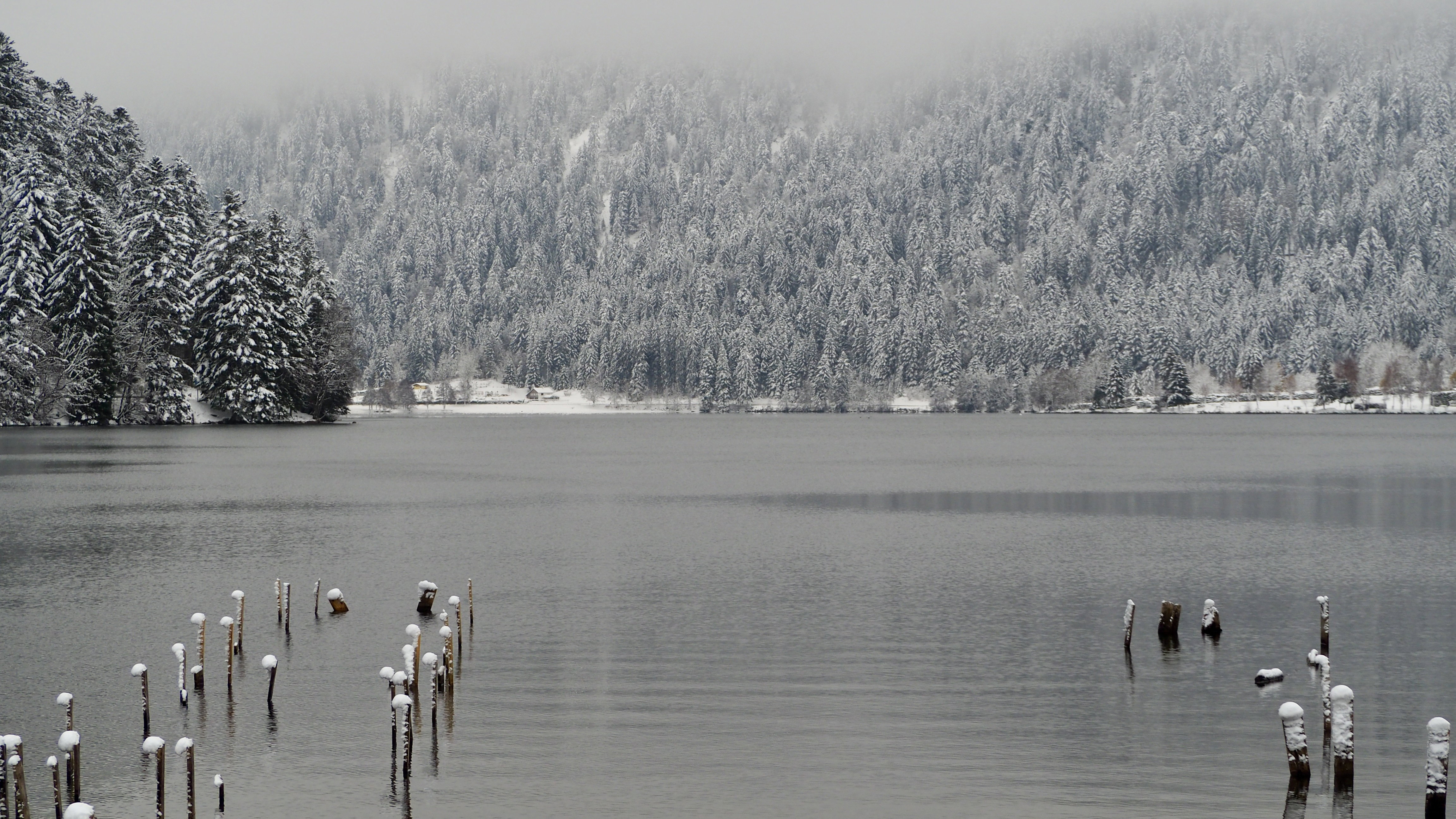 End of November, first snow in the Vosges