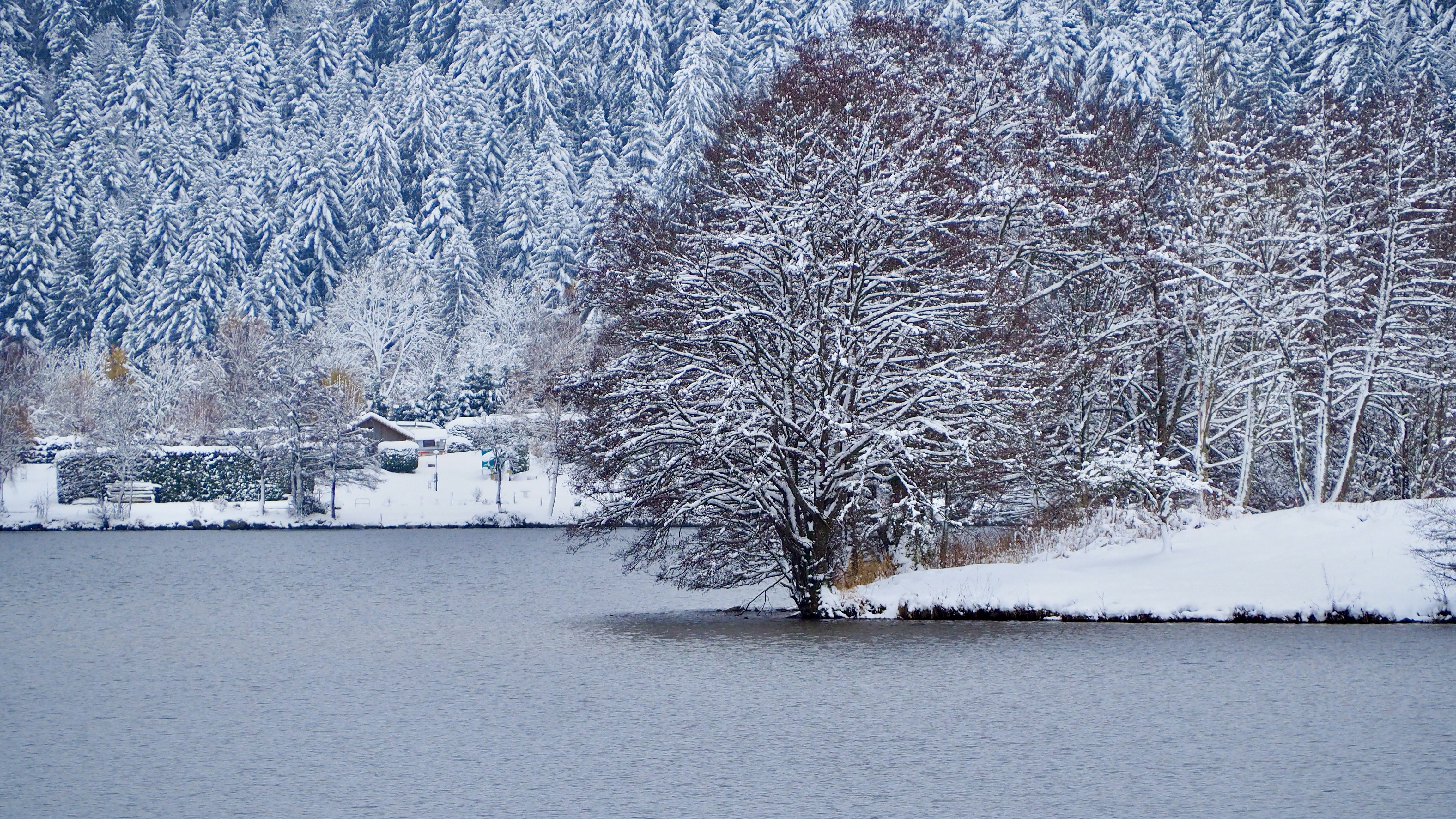 End of November, first snow in the Vosges