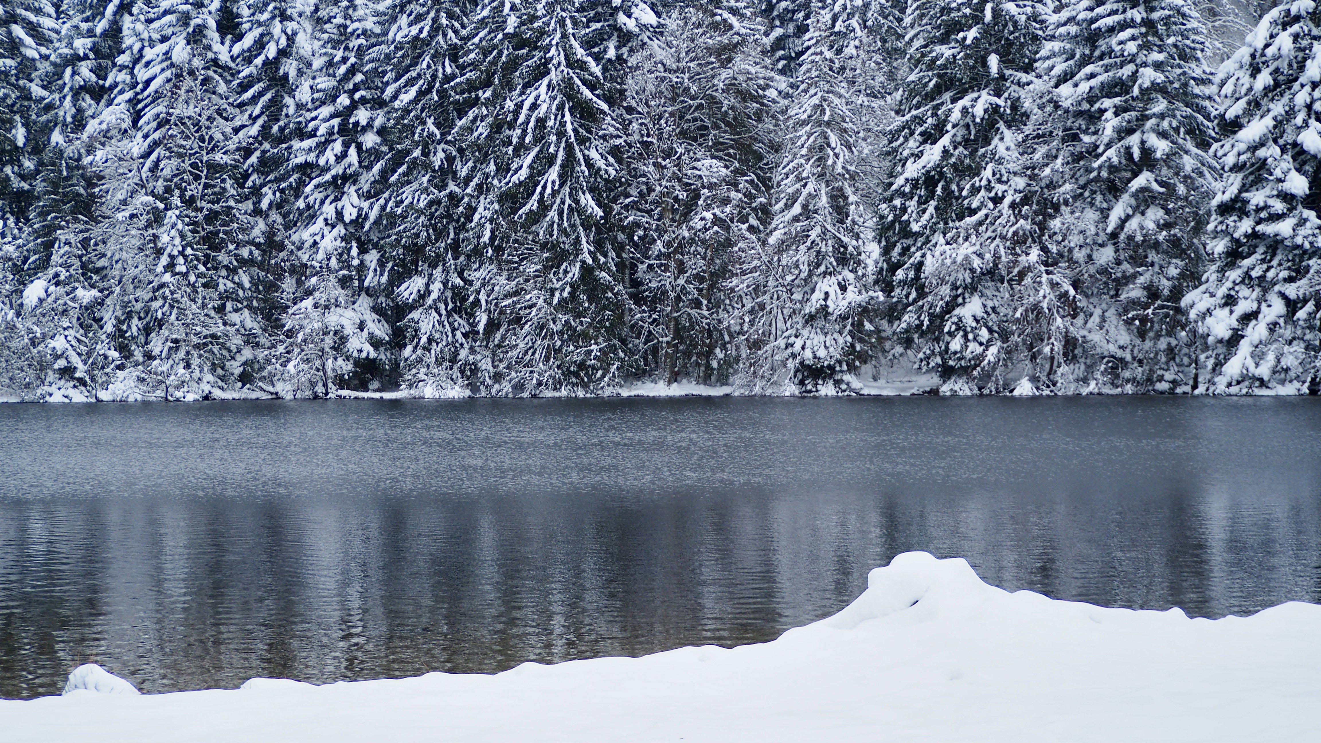 End of November, first snow in the Vosges