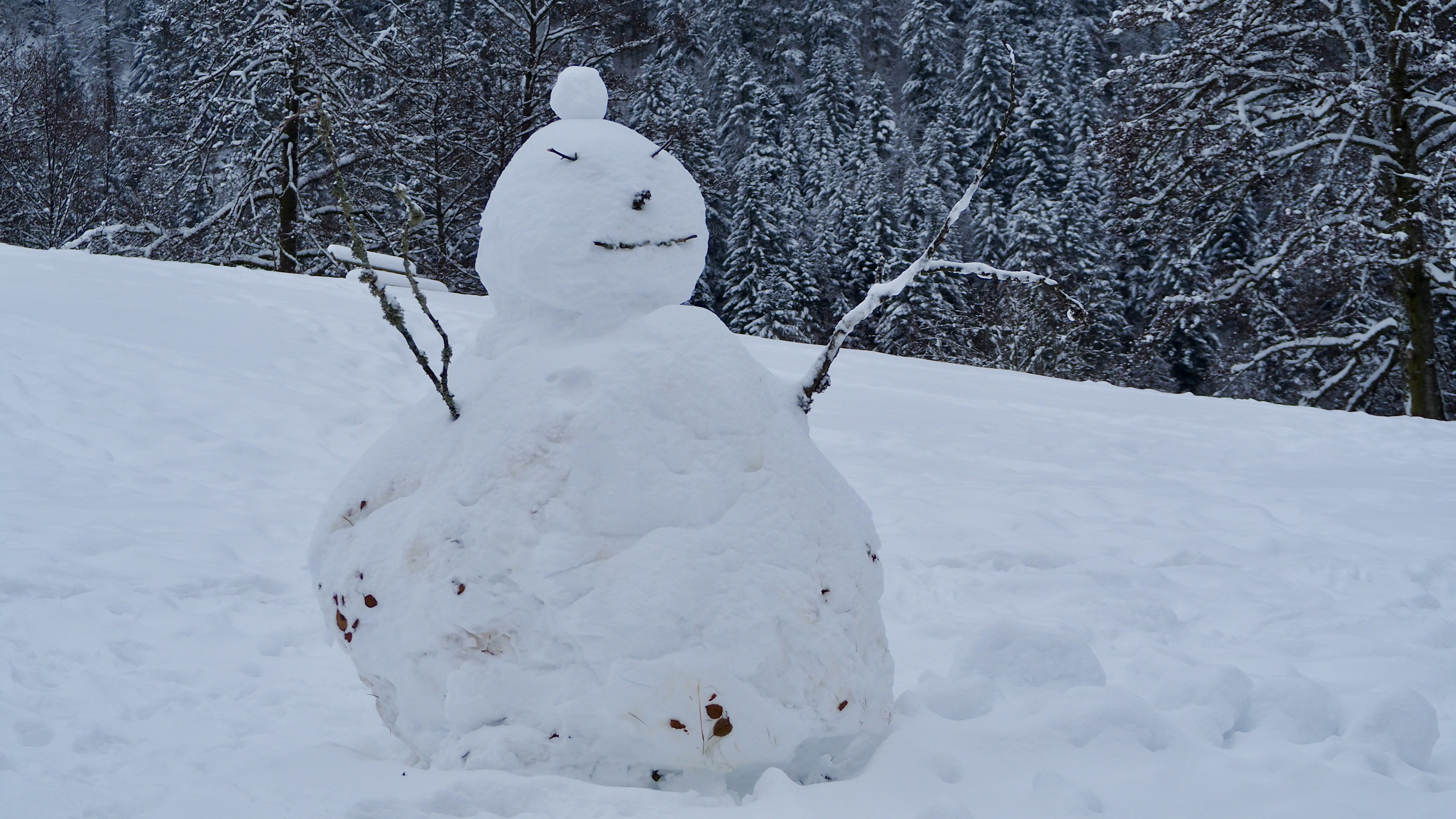 End of November, first snow in the Vosges