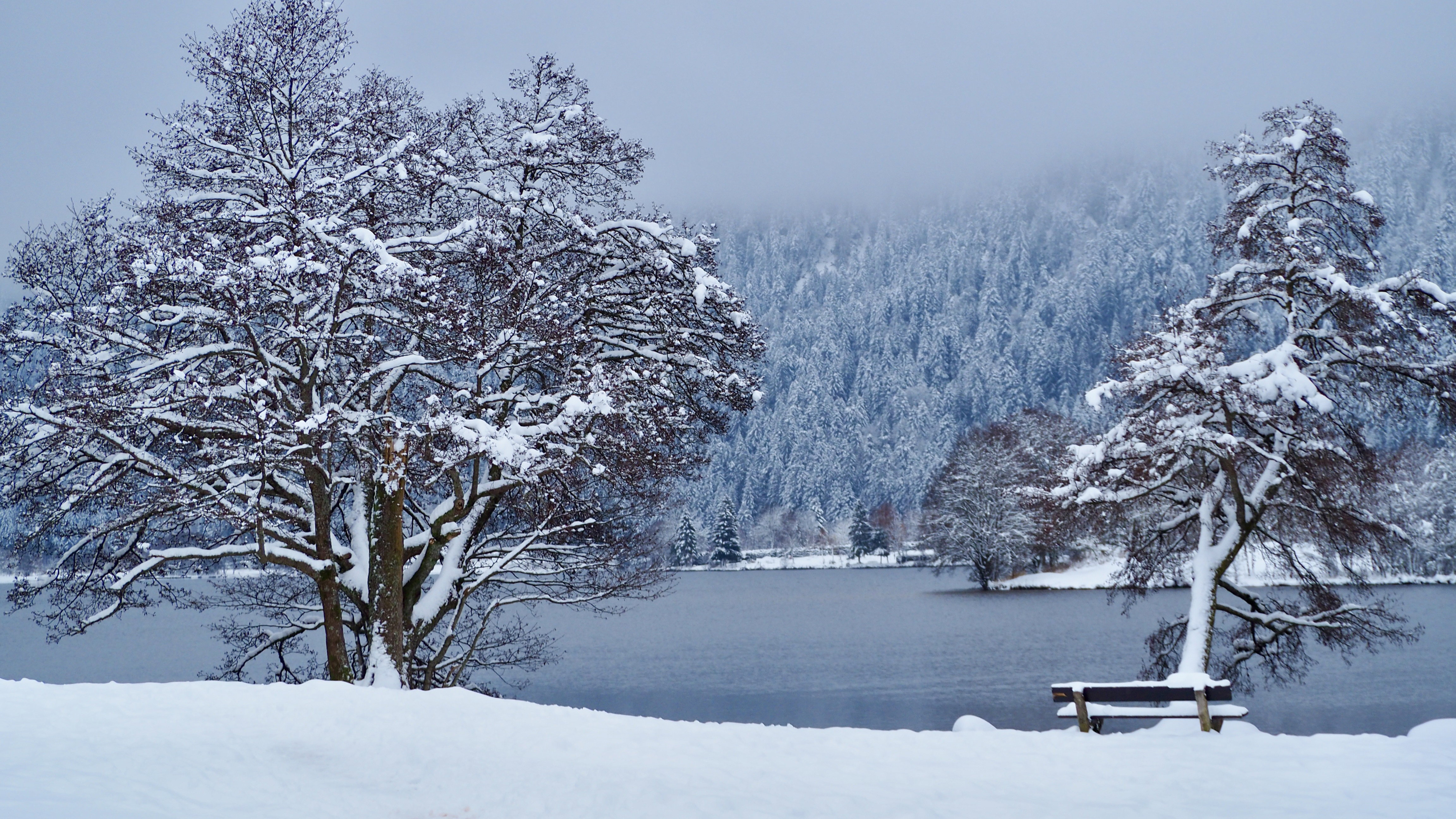 End of November, first snow in the Vosges