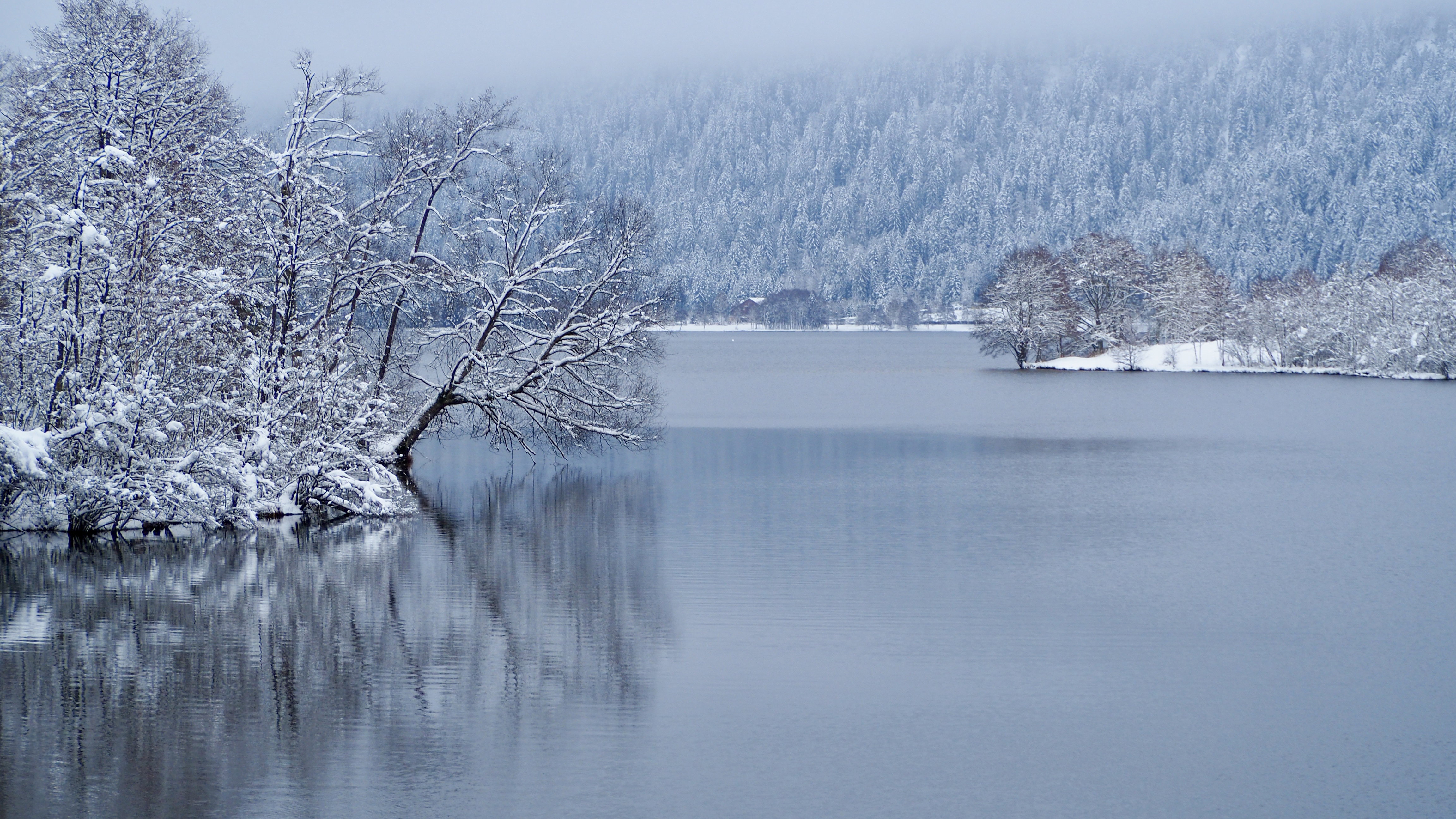 End of November, first snow in the Vosges