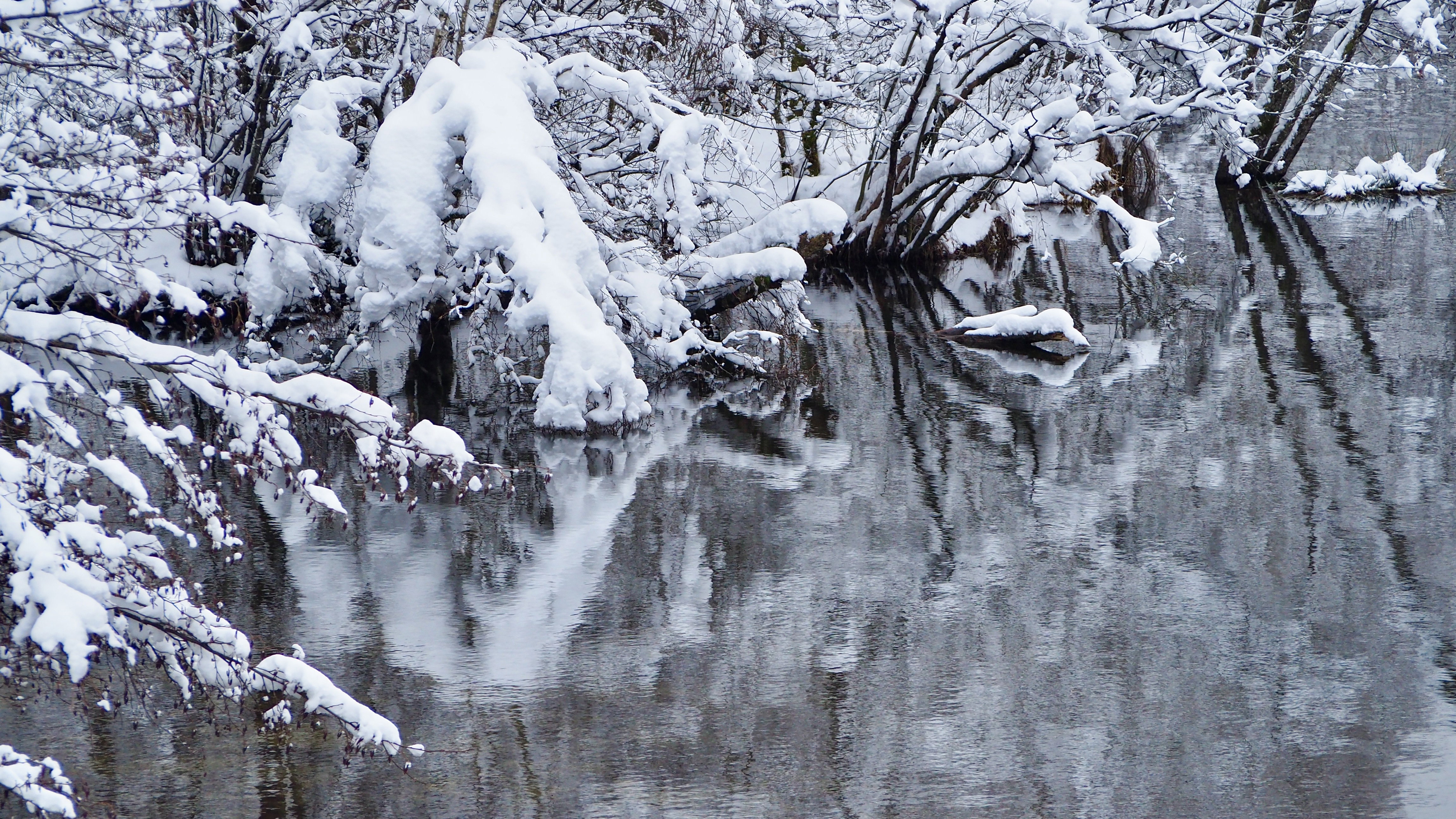 End of November, first snow in the Vosges