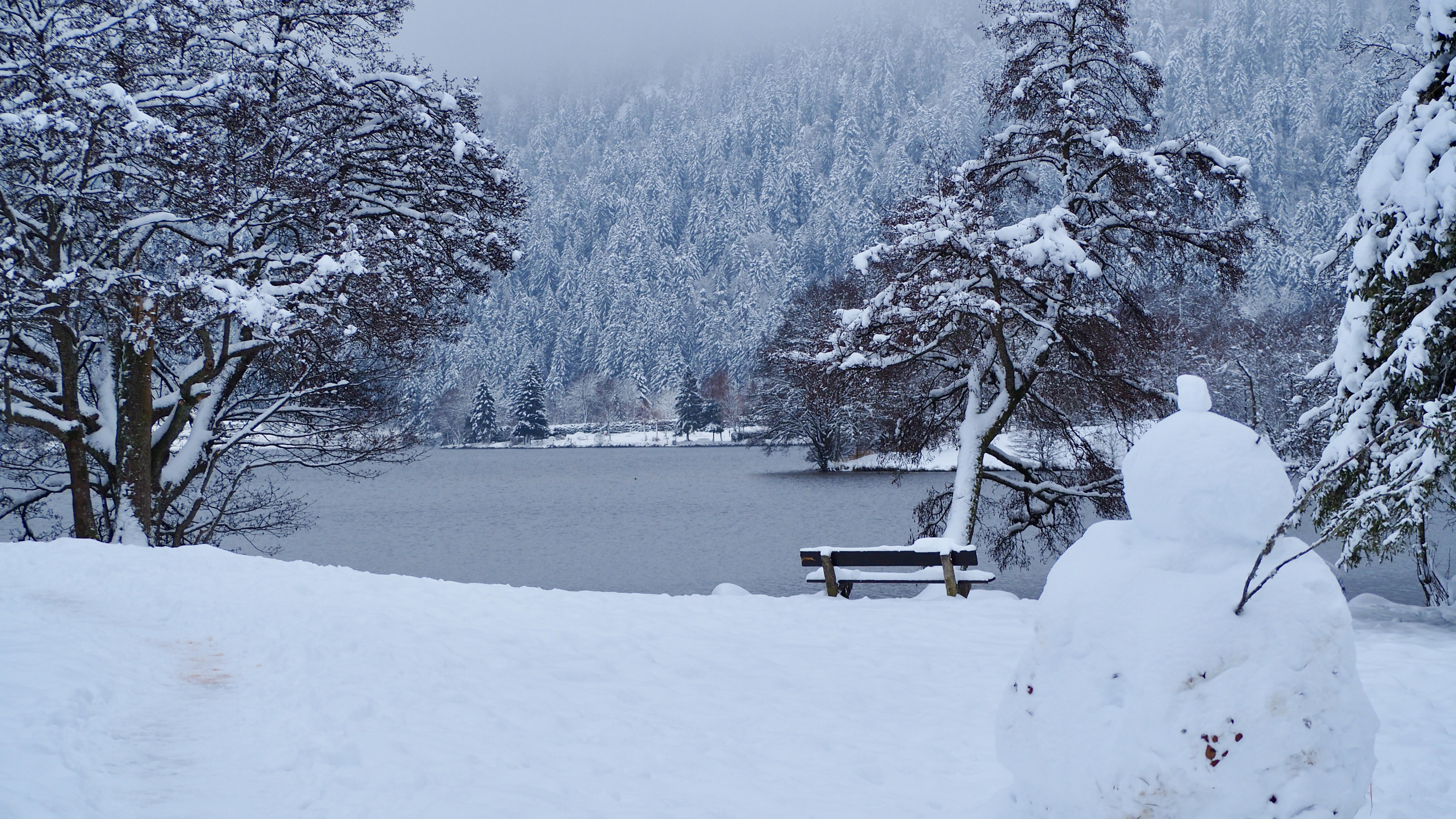 End of November, first snow in the Vosges