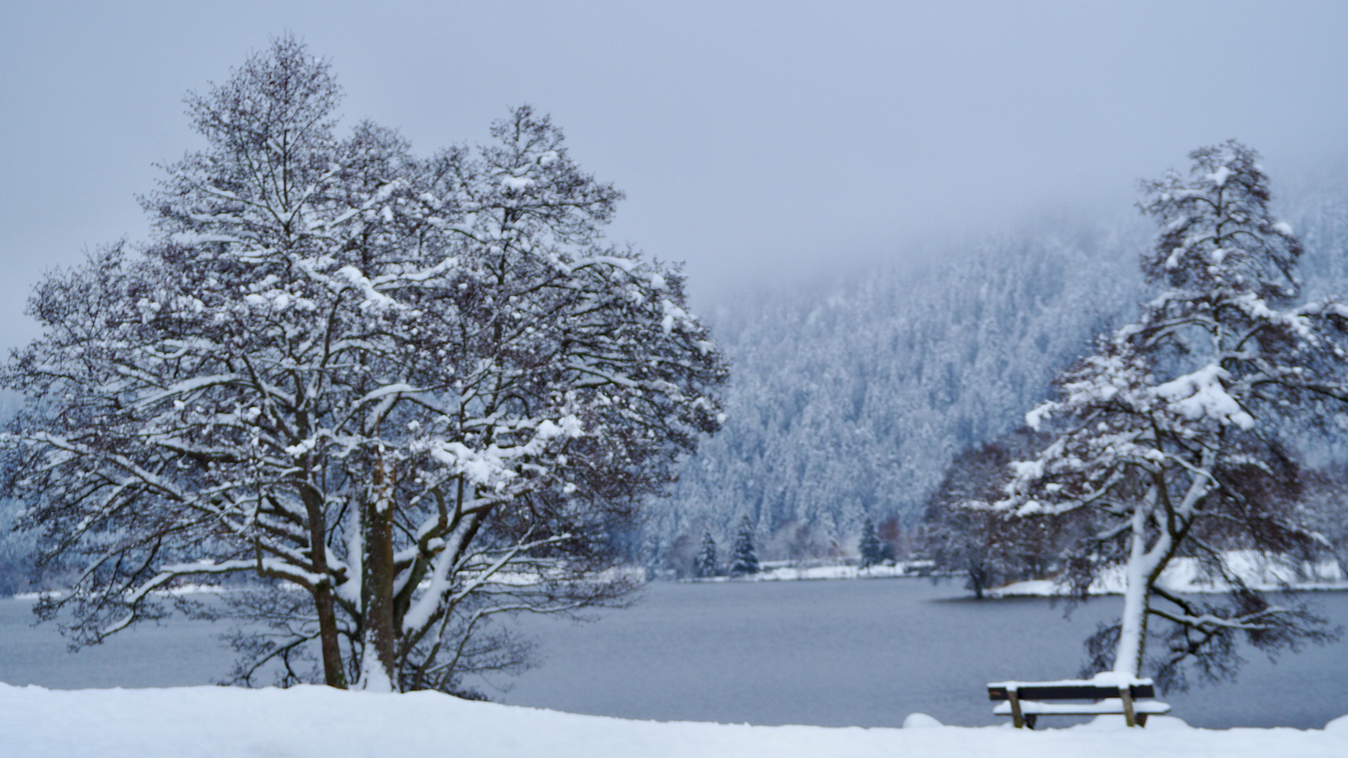 End of November, first snow in the Vosges