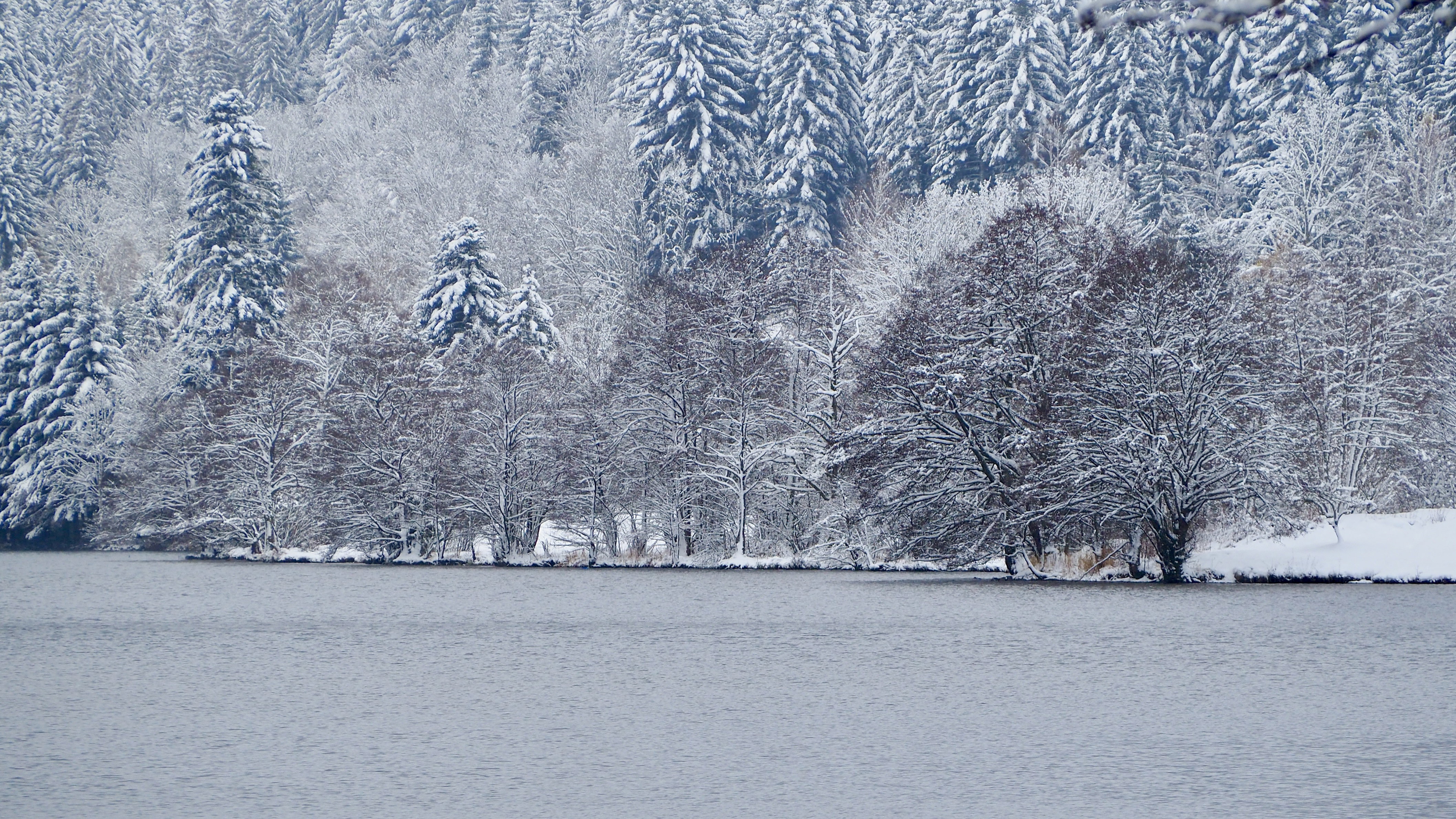 End of November, first snow in the Vosges