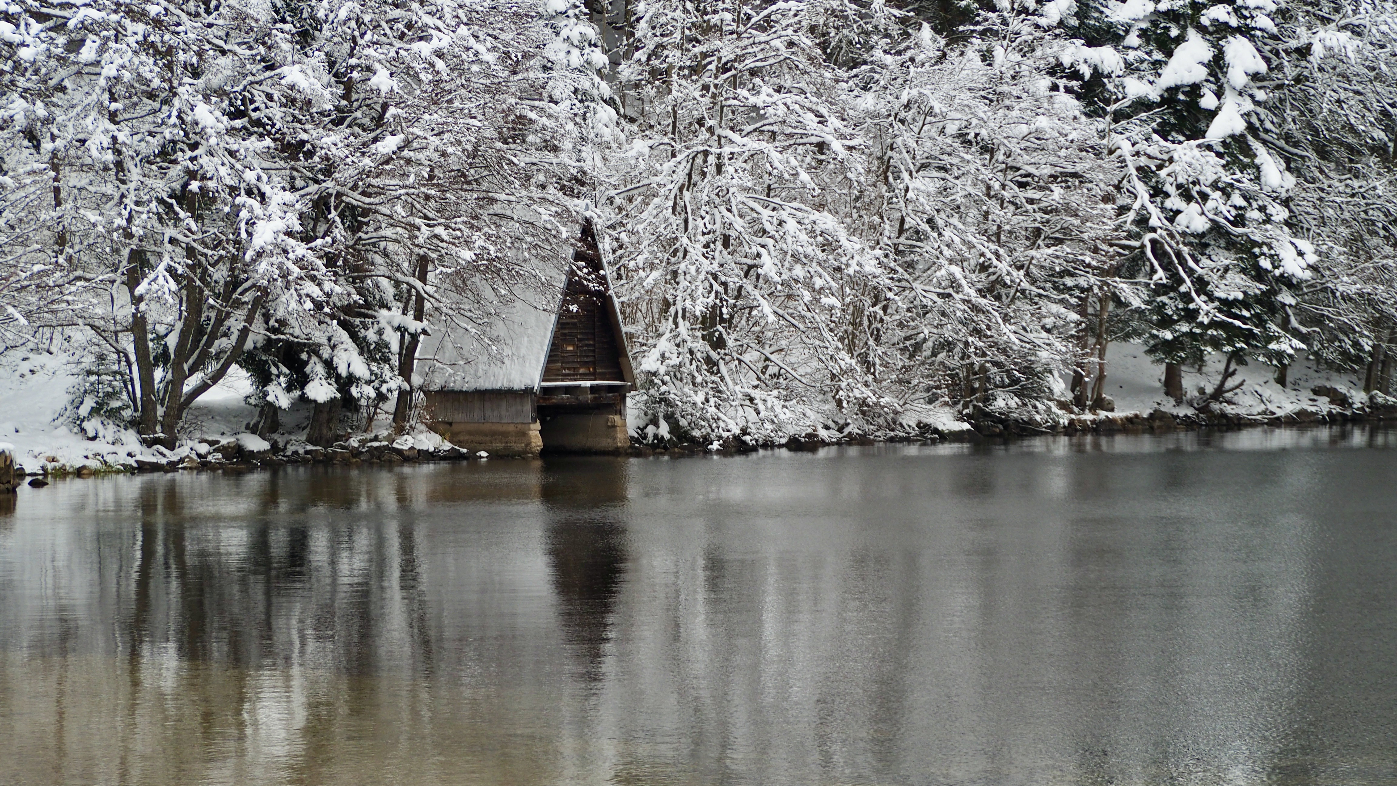 End of November, first snow in the Vosges