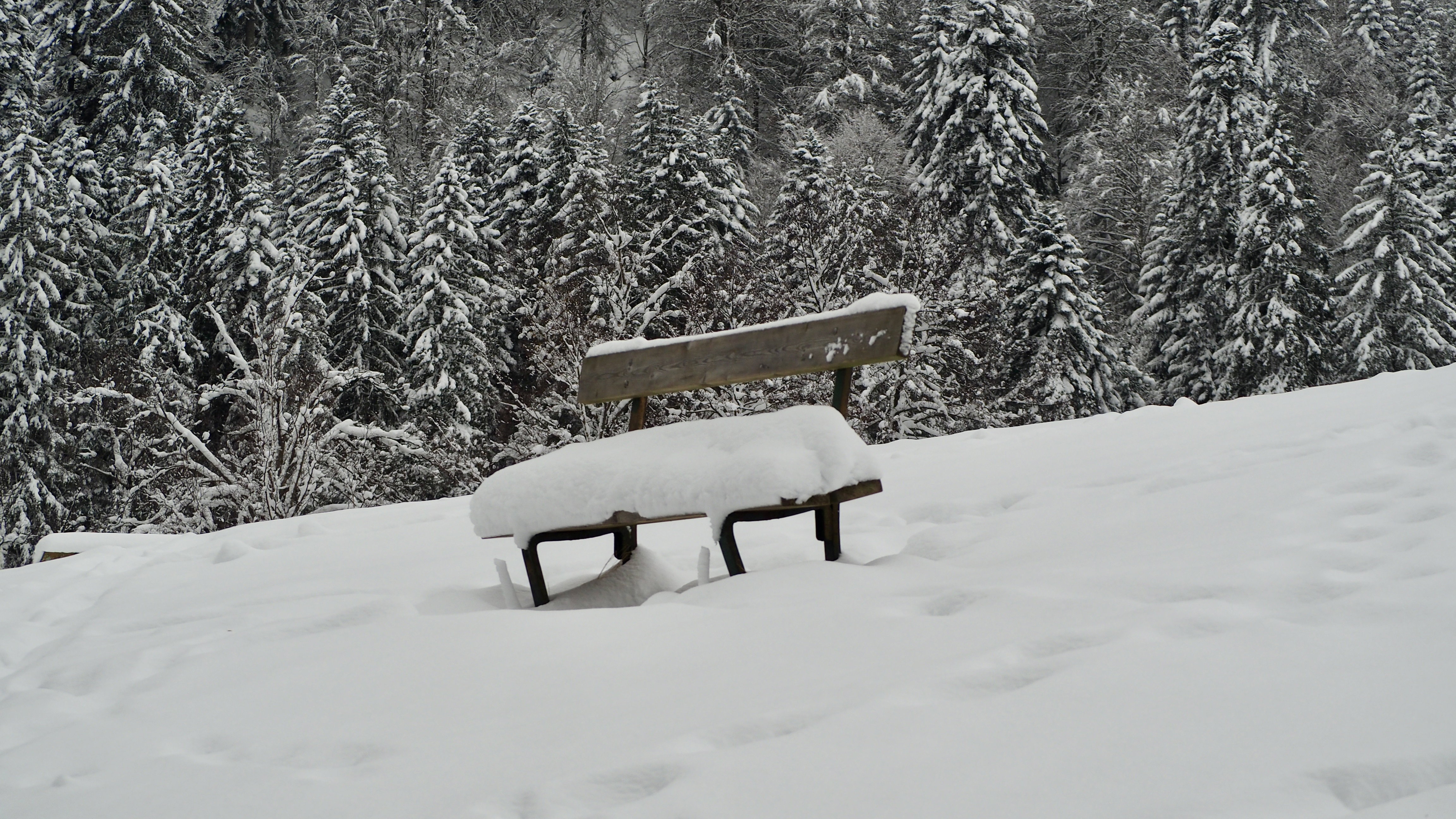 End of November, first snow in the Vosges