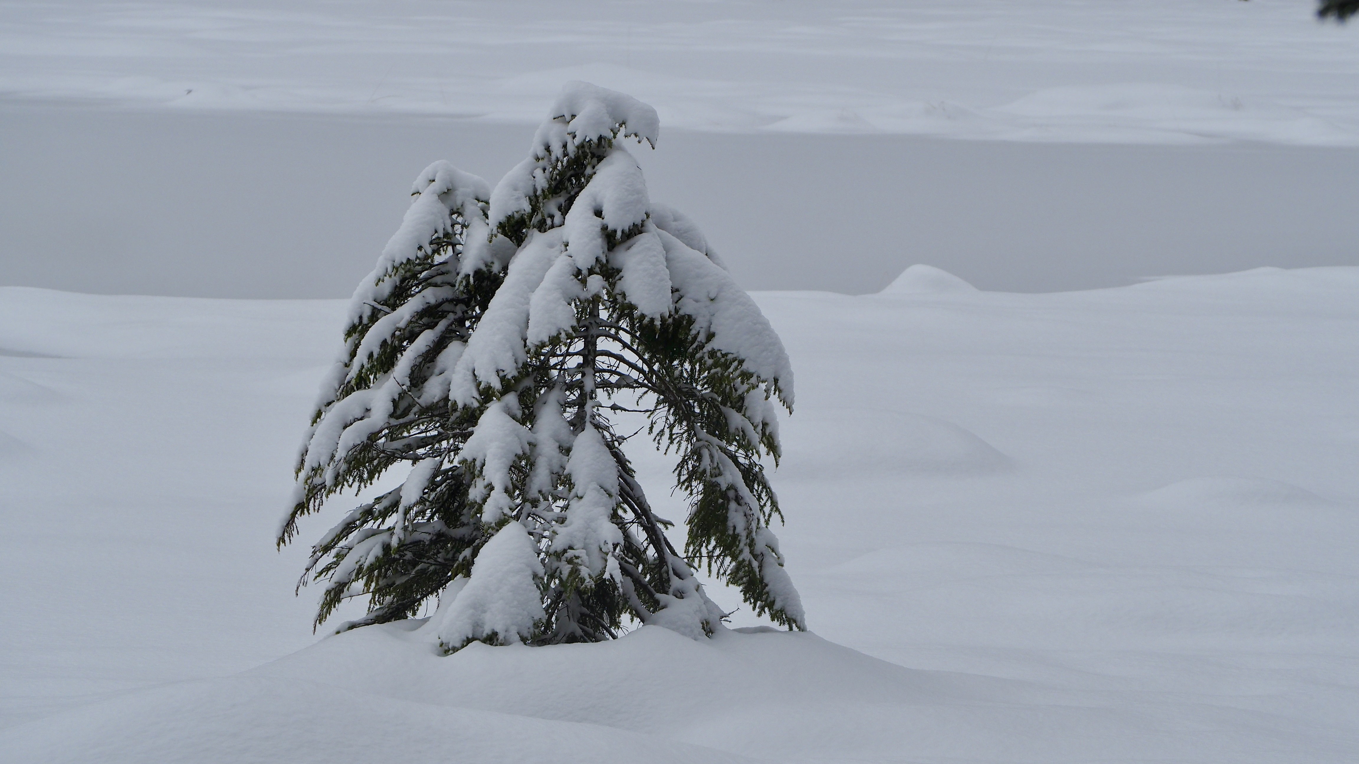 It snowed on Lake Retournemer and Lake Lispach