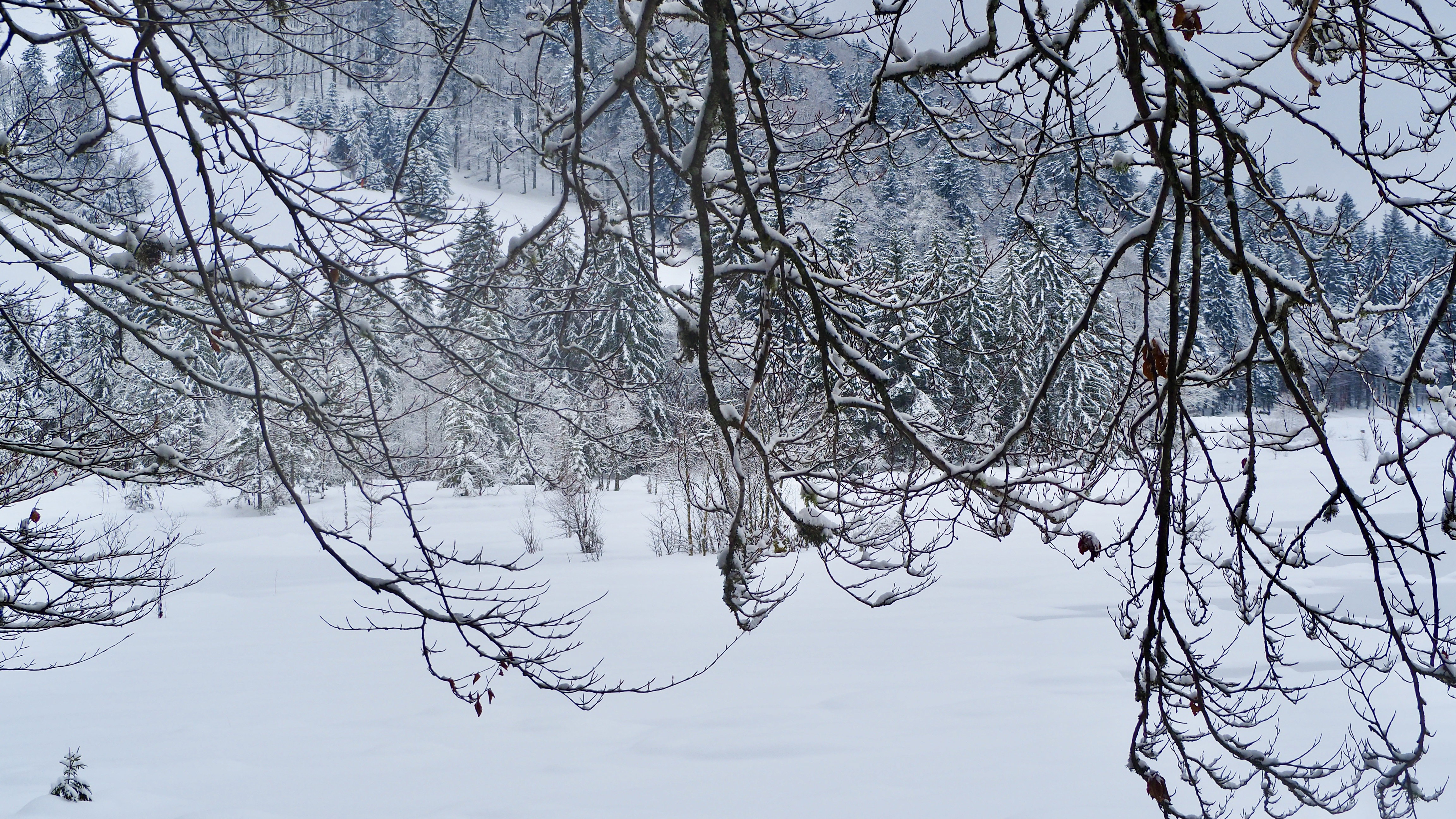 It snowed on Lake Retournemer and Lake Lispach