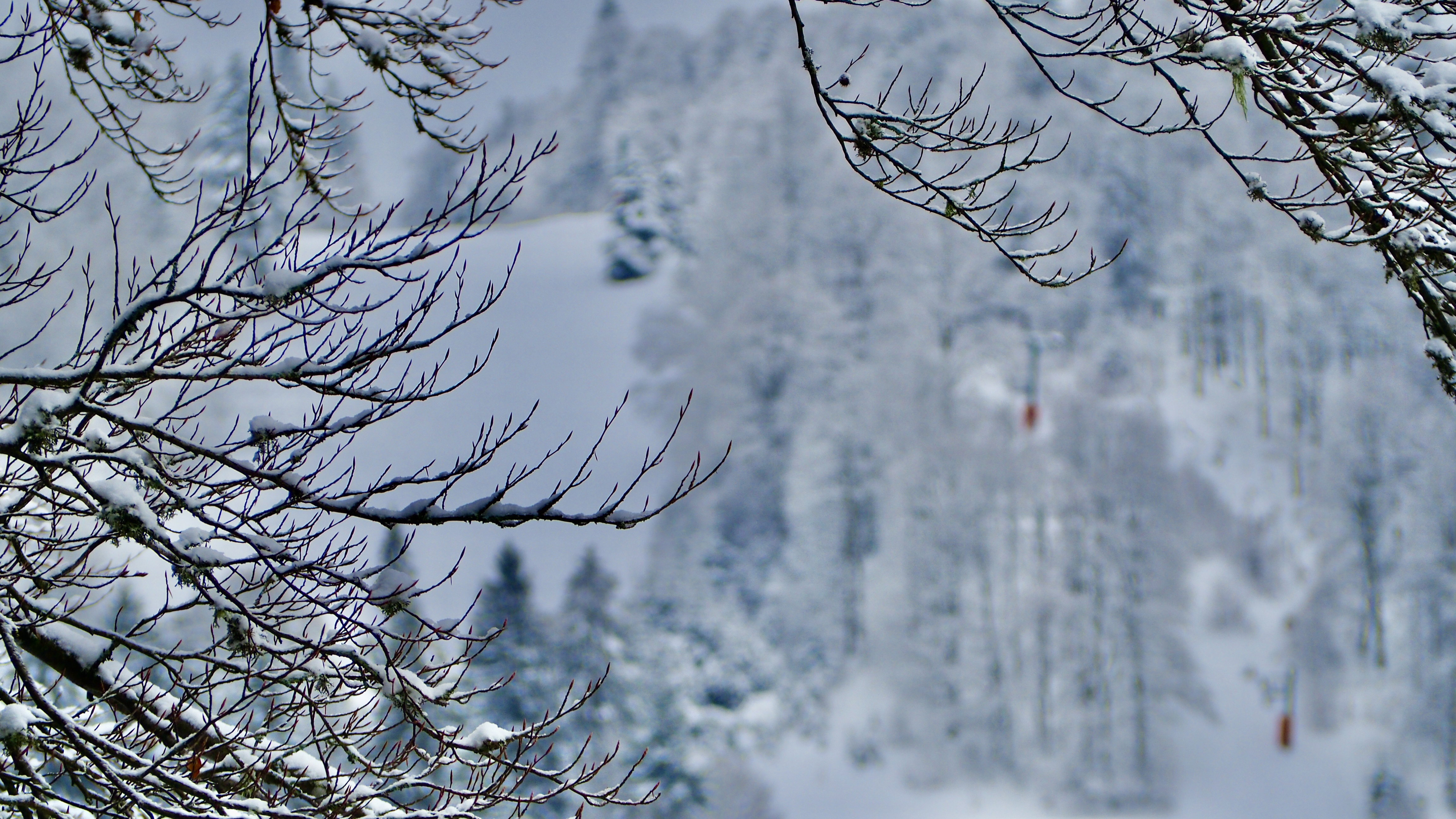 It snowed on Lake Retournemer and Lake Lispach