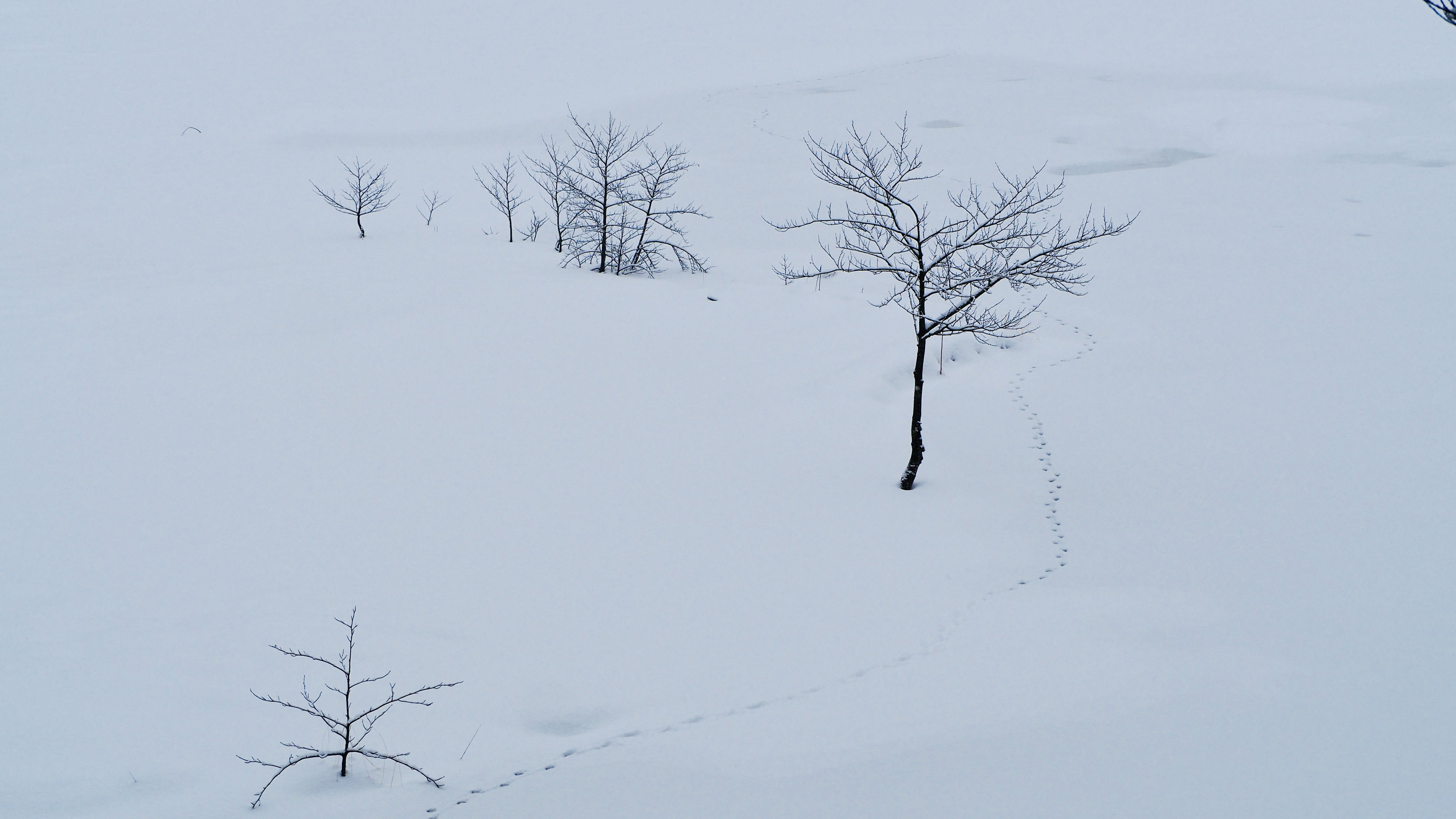 It snowed on Lake Retournemer and Lake Lispach