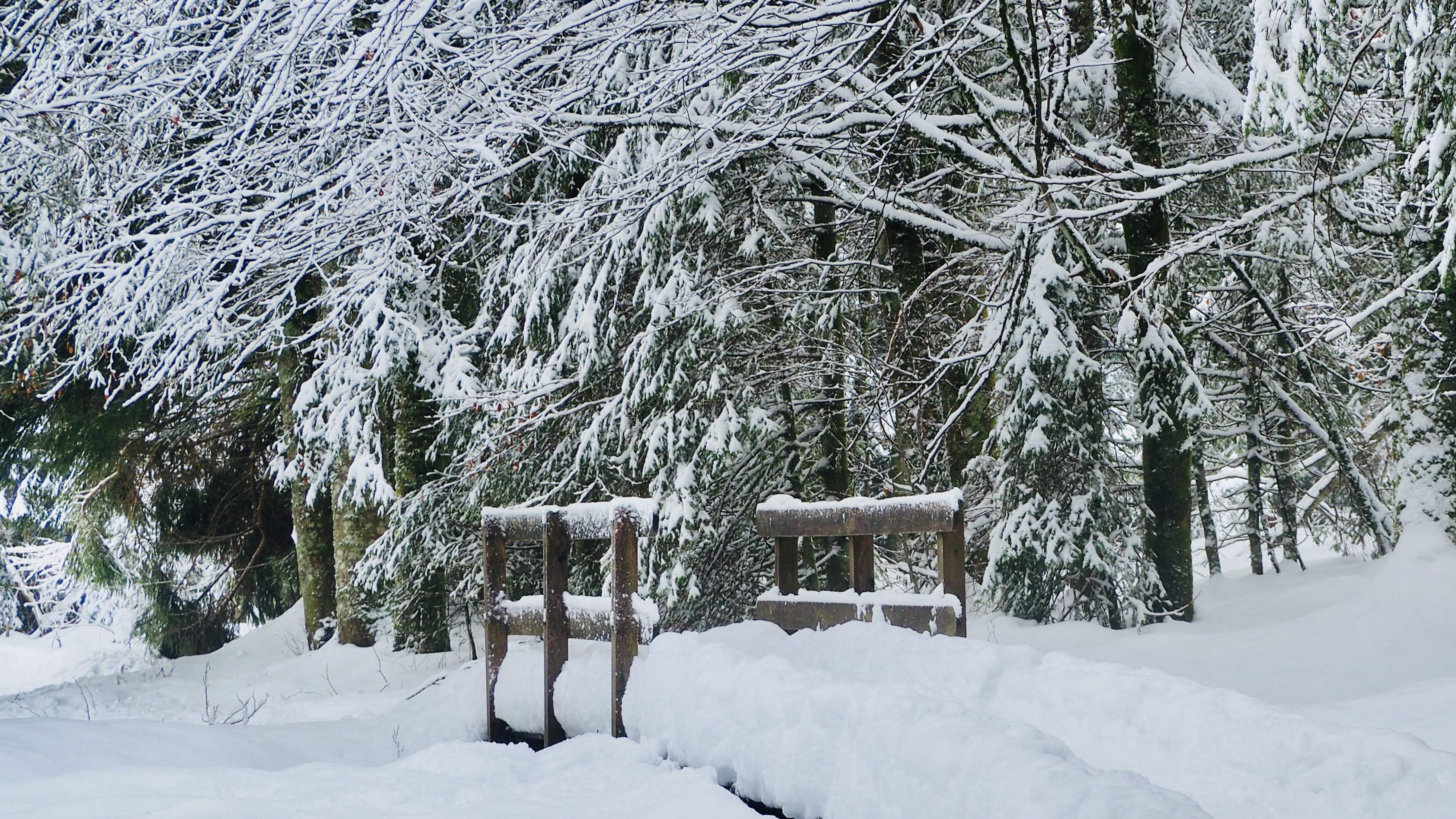 It snowed on Lake Retournemer and Lake Lispach