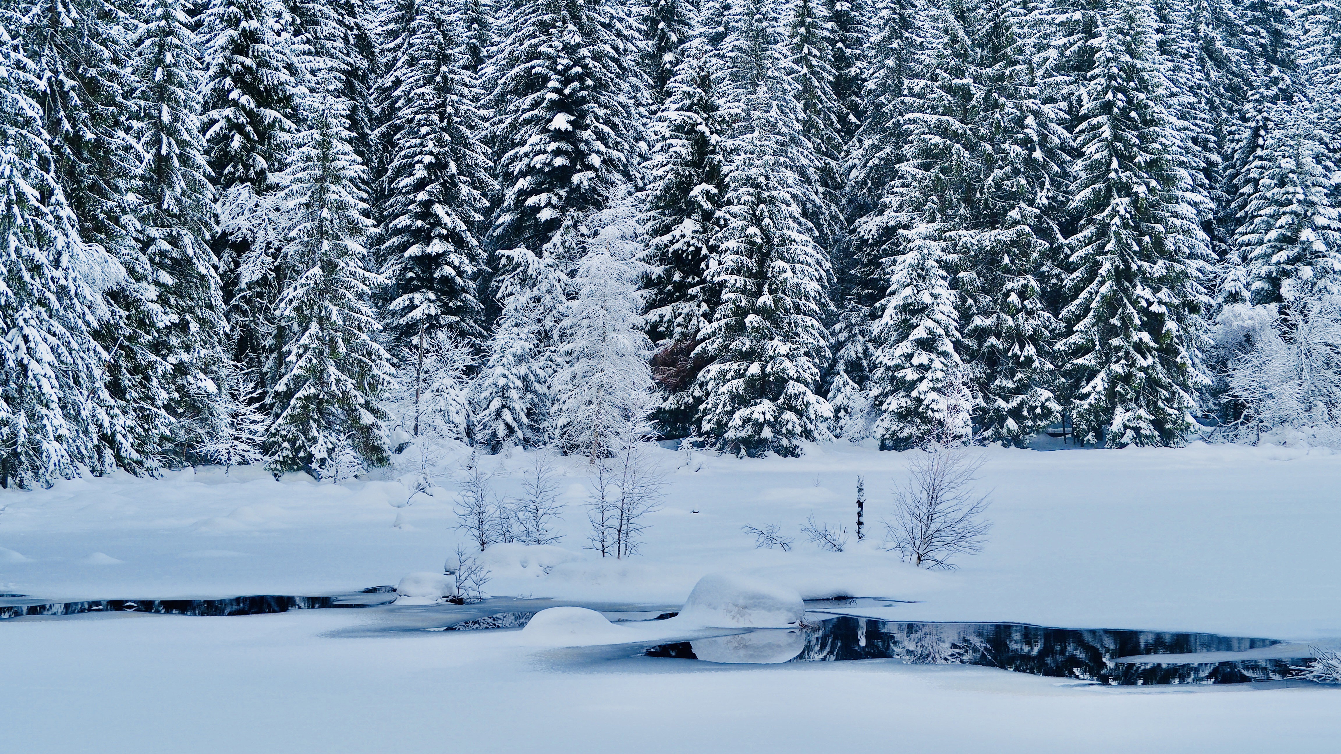 It snowed on Lake Retournemer and Lake Lispach