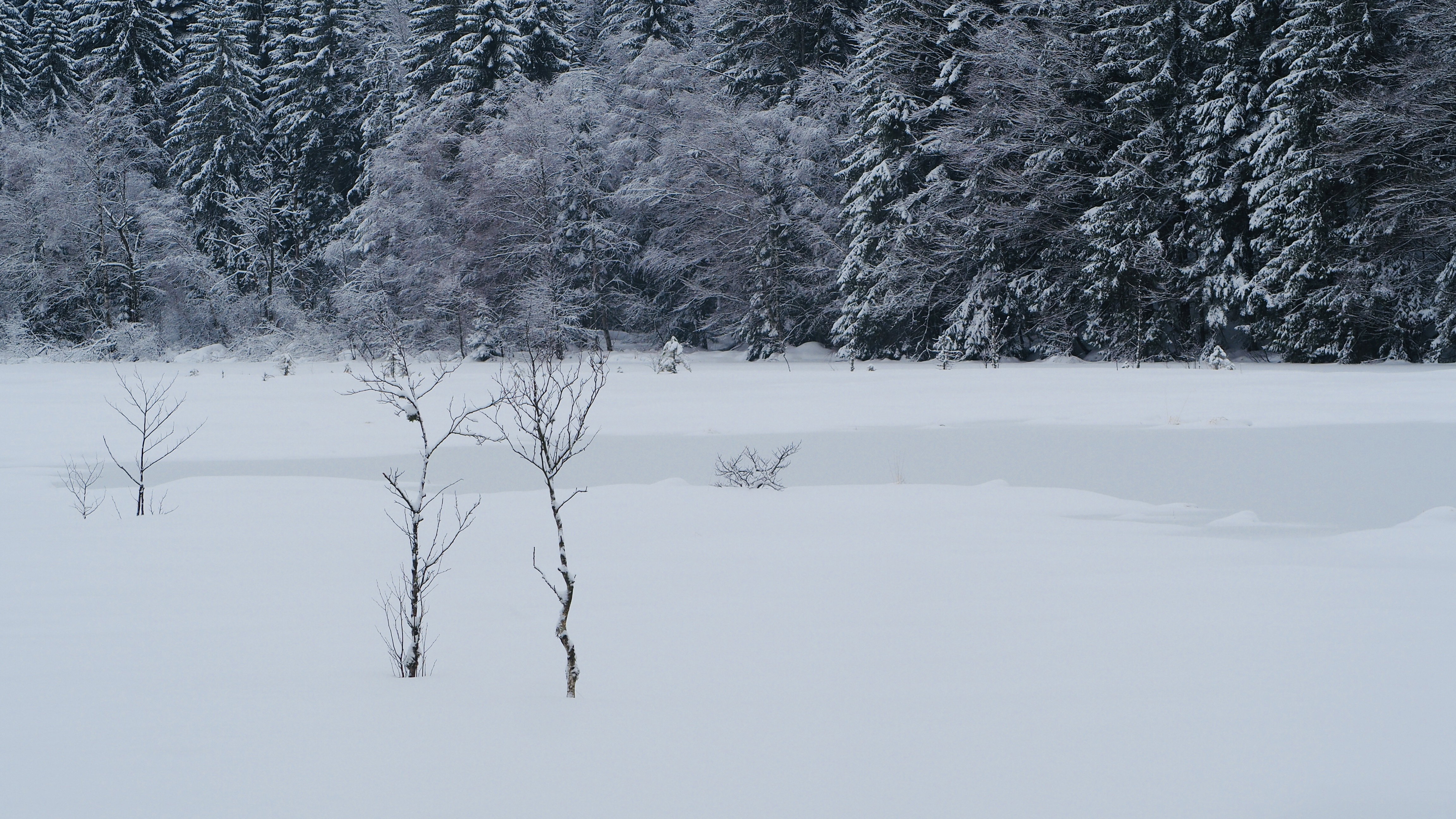 It snowed on Lake Retournemer and Lake Lispach