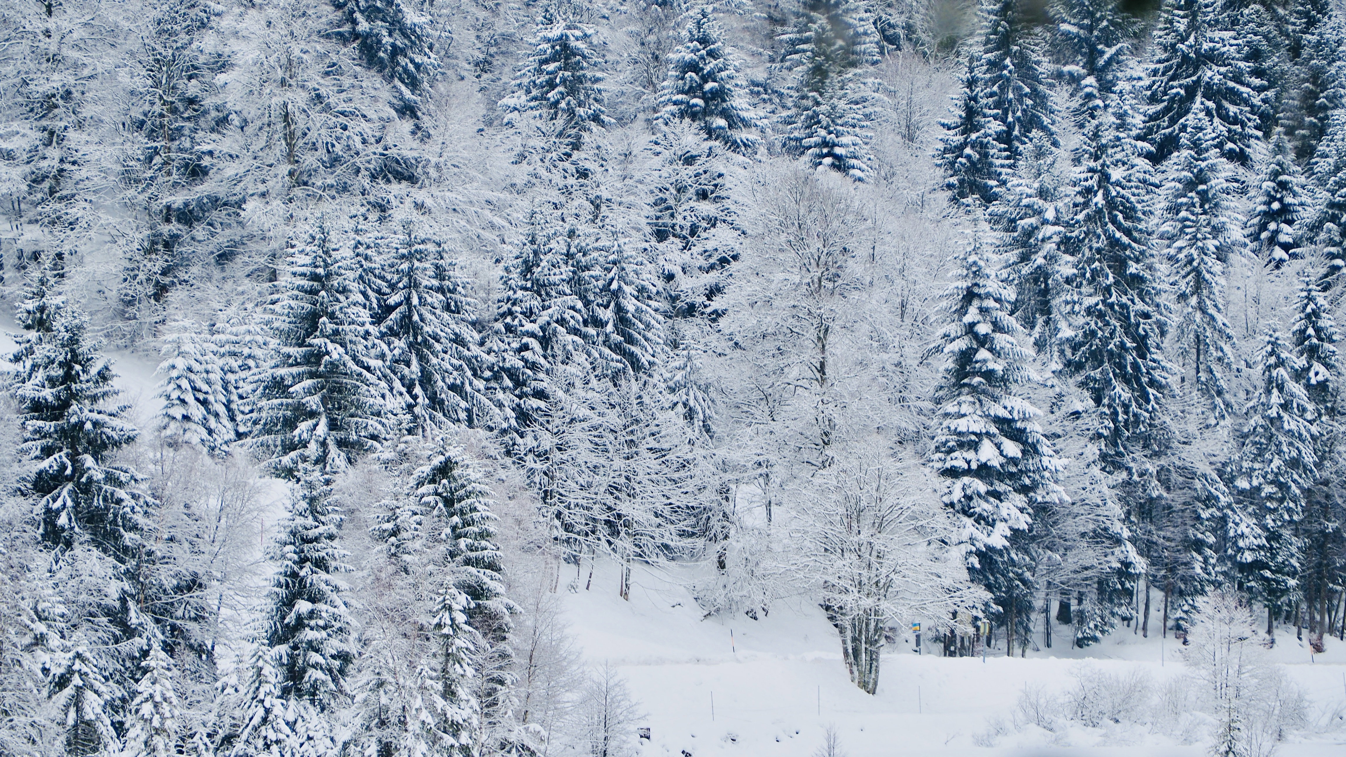 It snowed on Lake Retournemer and Lake Lispach