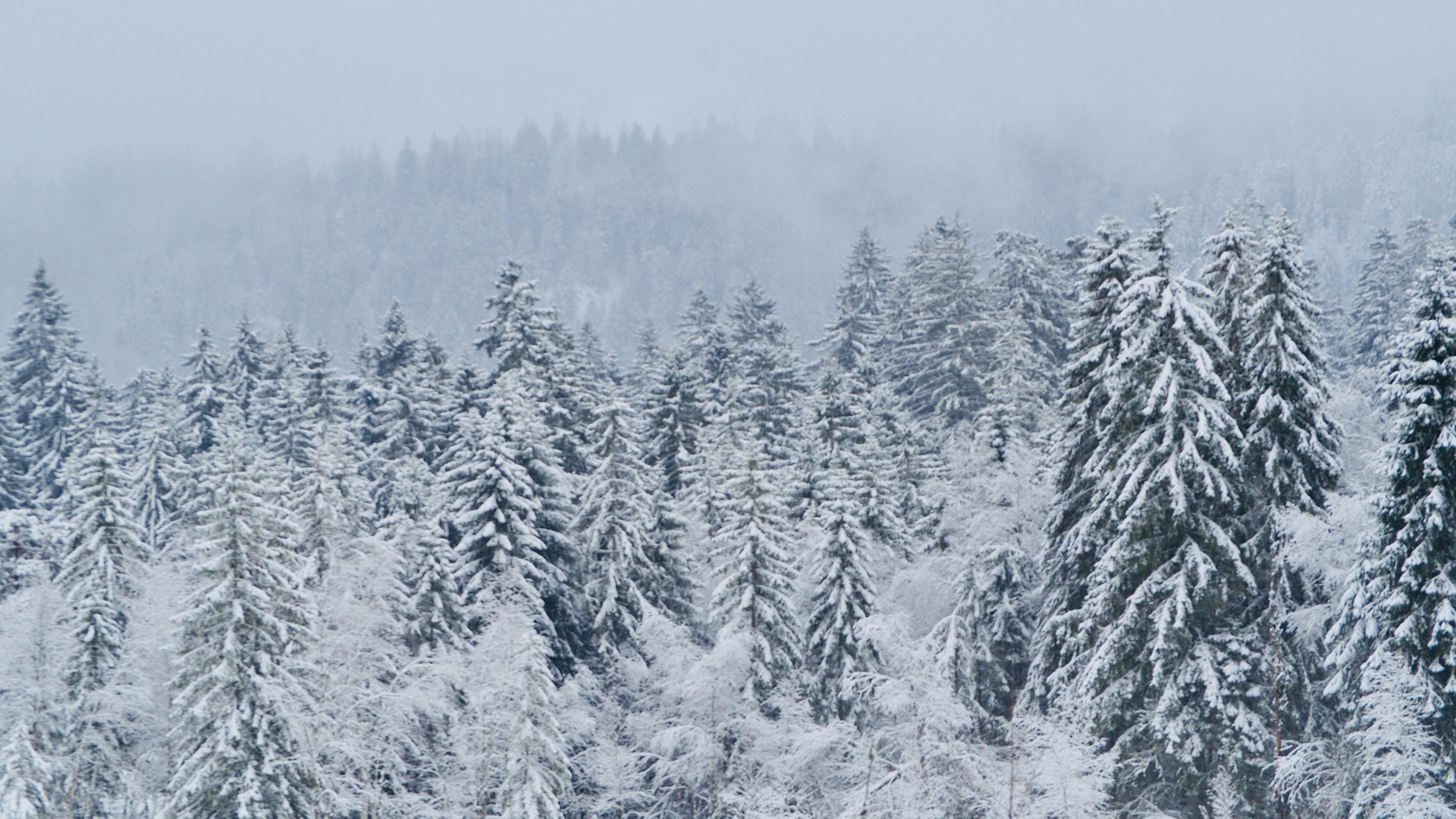 It snowed on Lake Retournemer and Lake Lispach