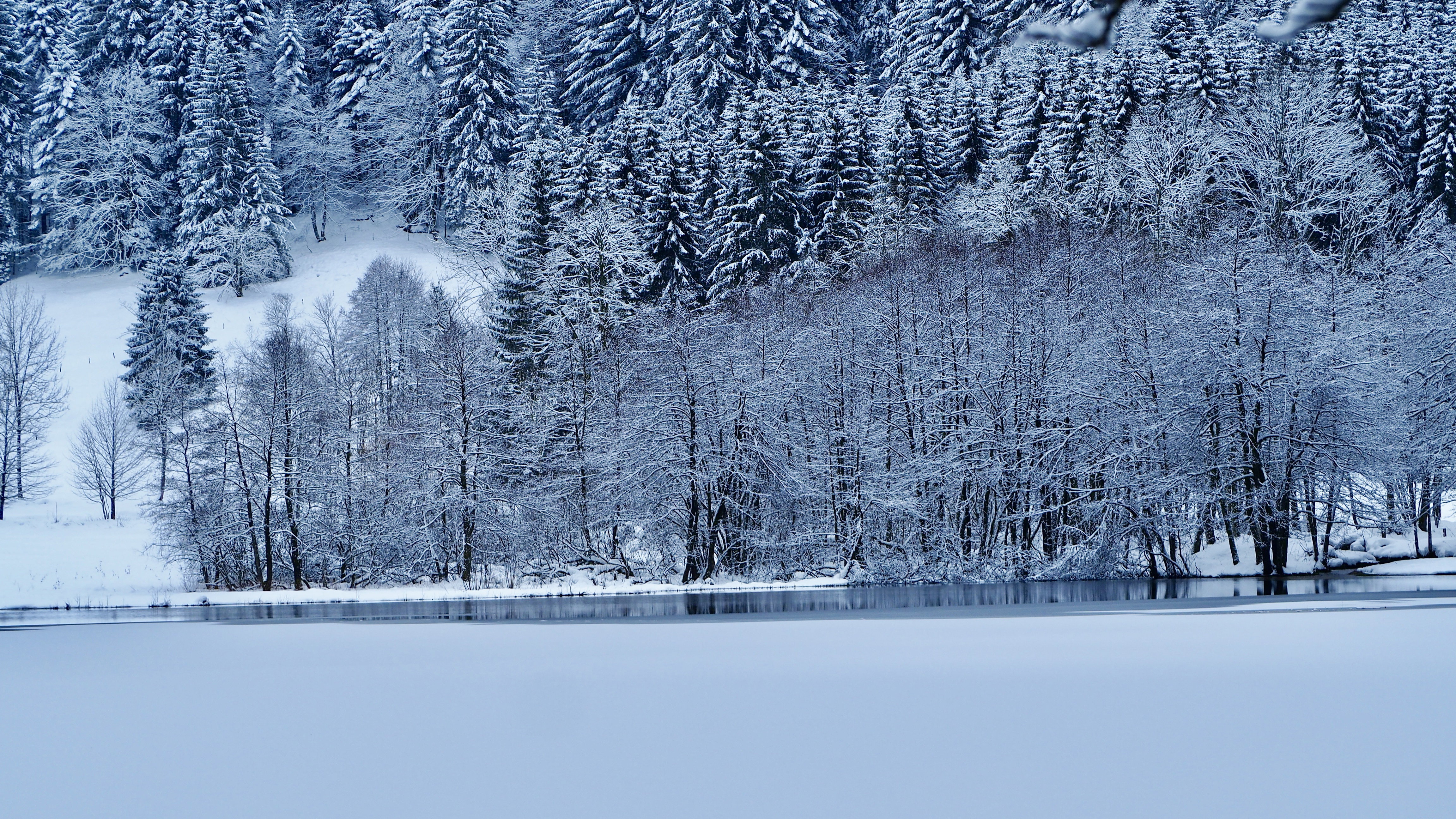 It snowed on Lake Retournemer and Lake Lispach