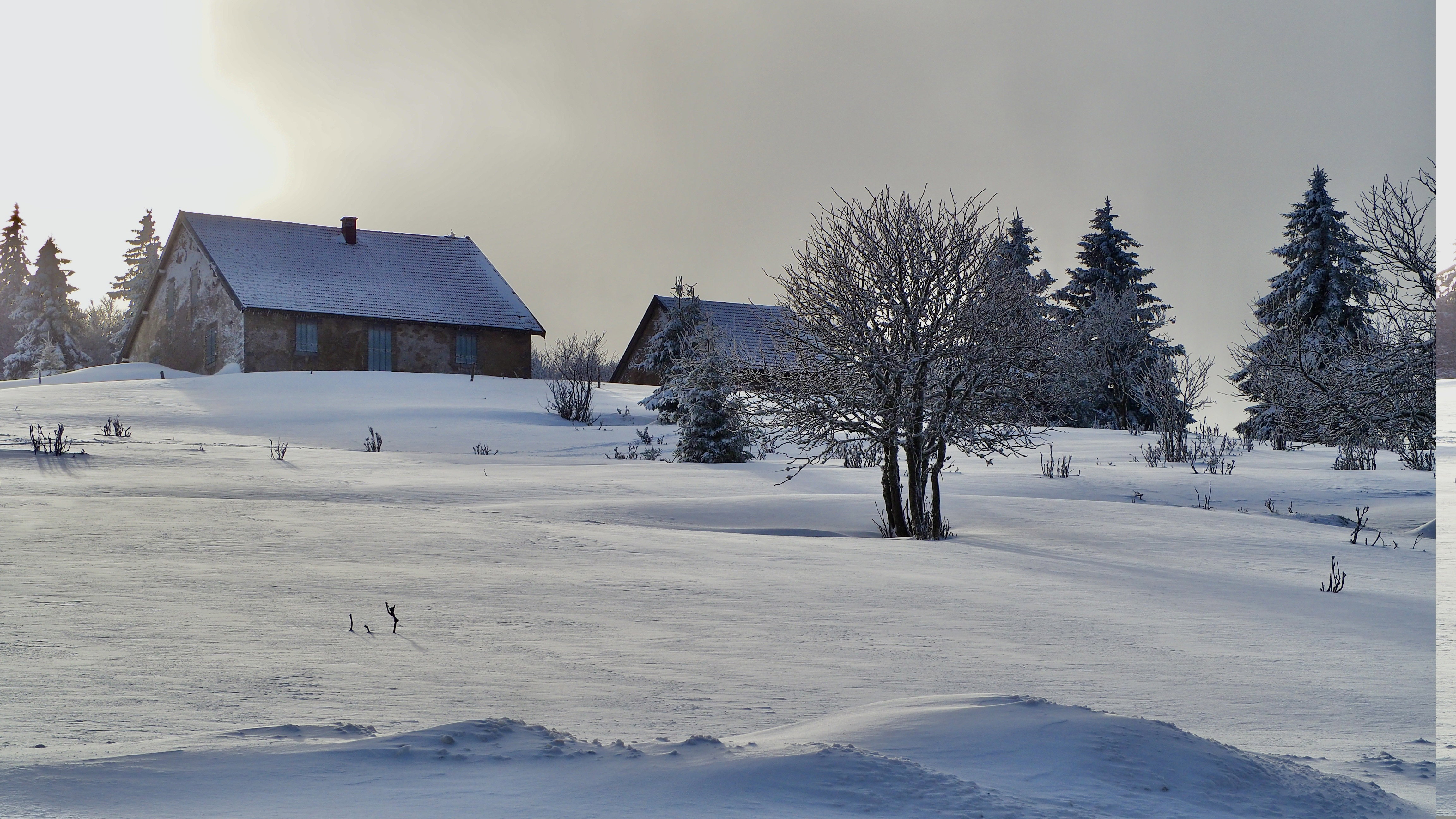 White paradise in the Vosges