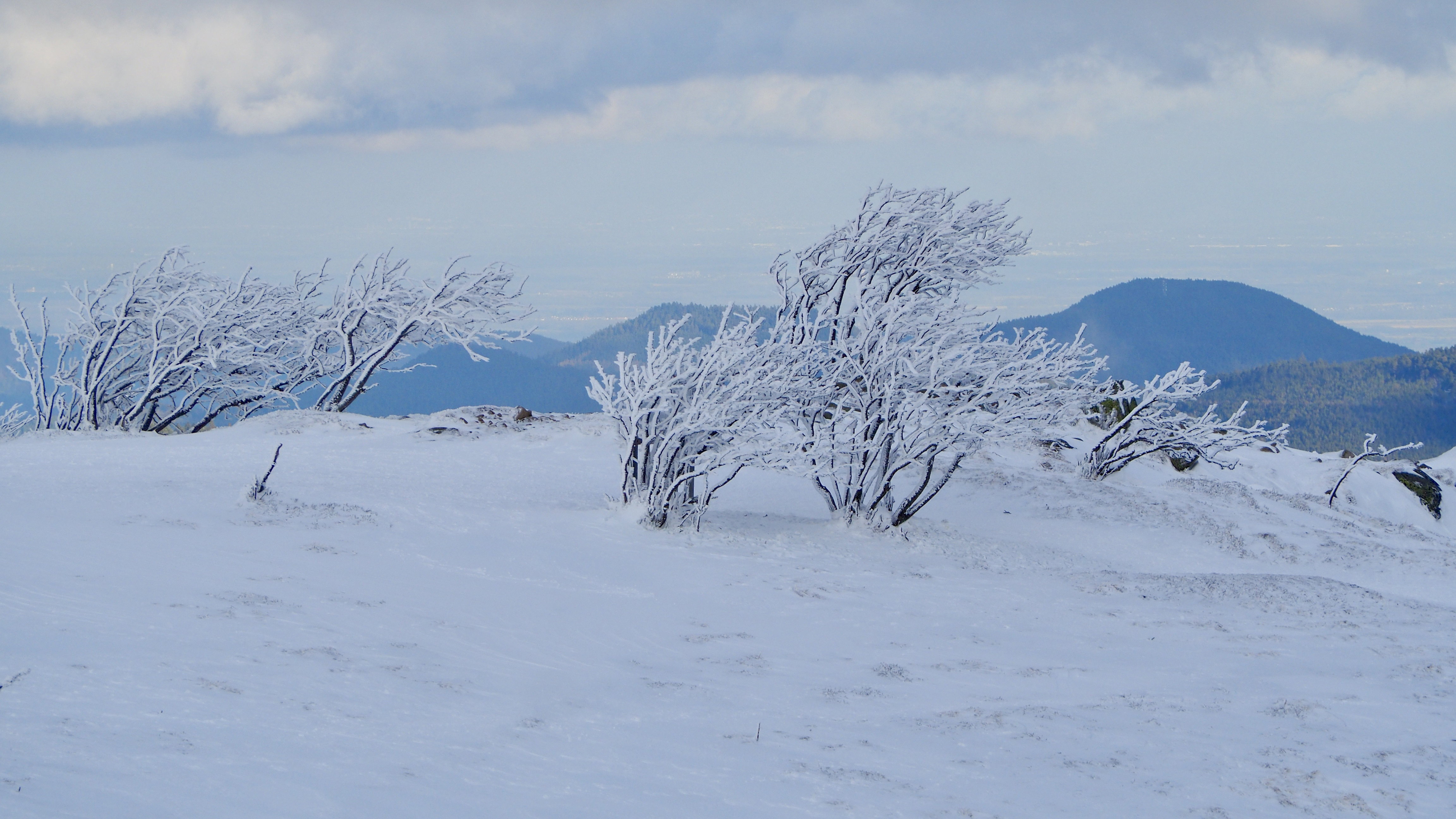 White paradise in the Vosges