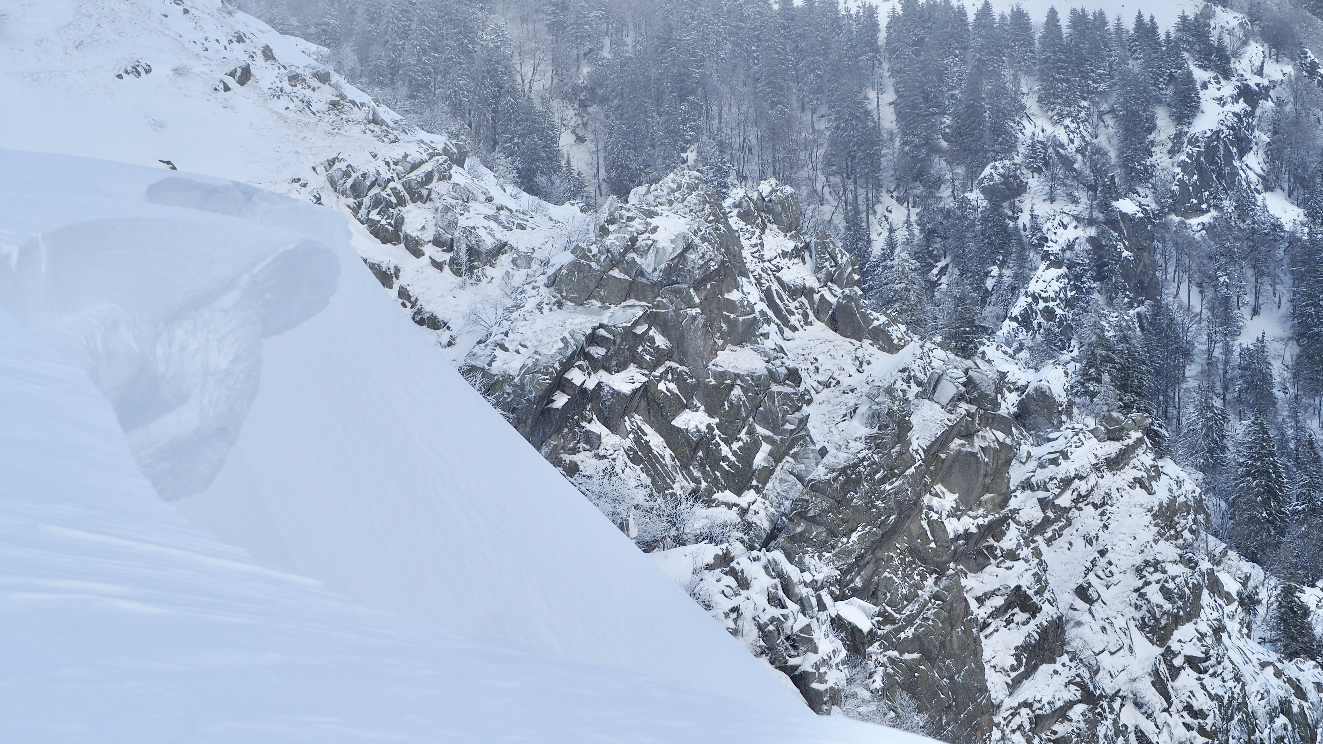 White paradise in the Vosges