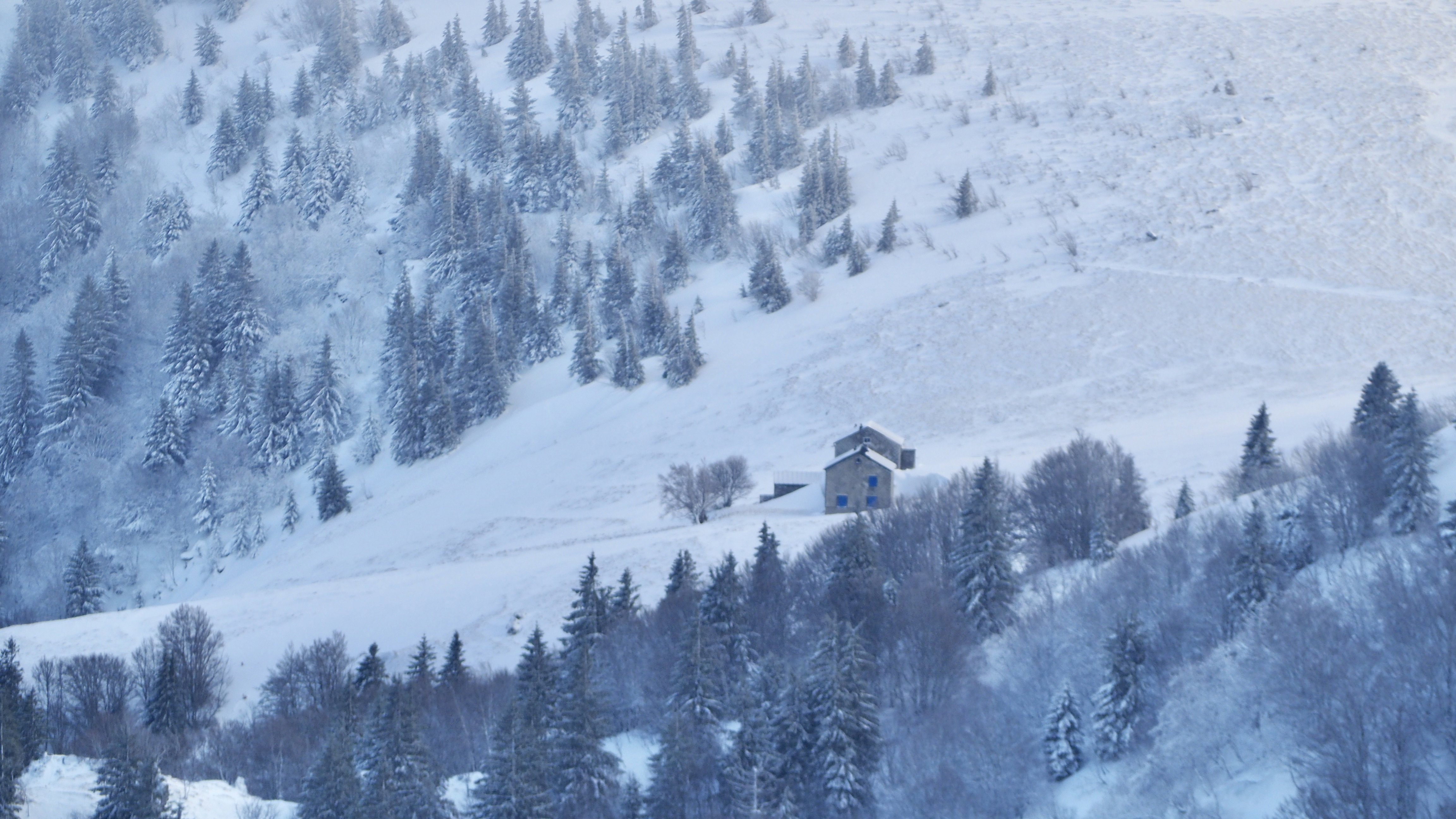 White paradise in the Vosges