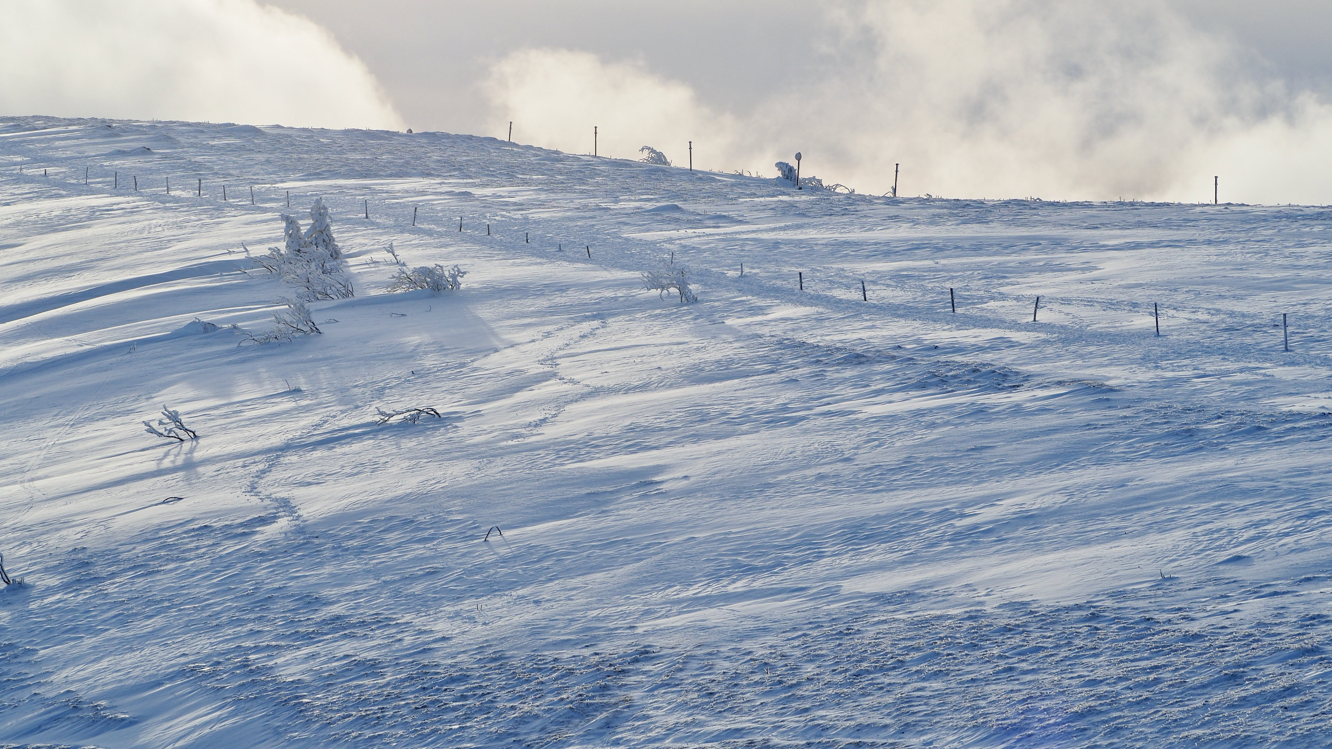 White paradise in the Vosges