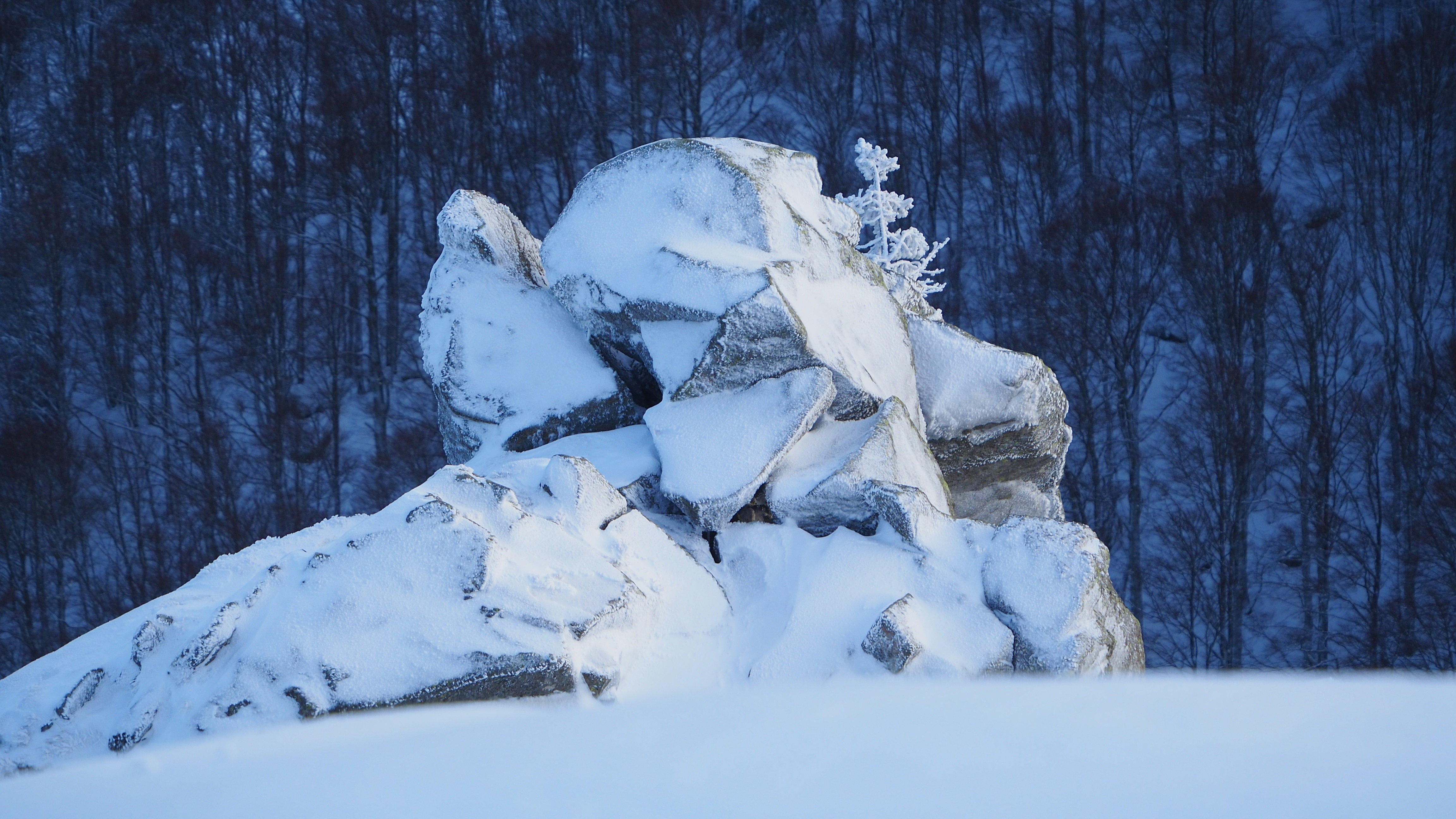 White paradise in the Vosges