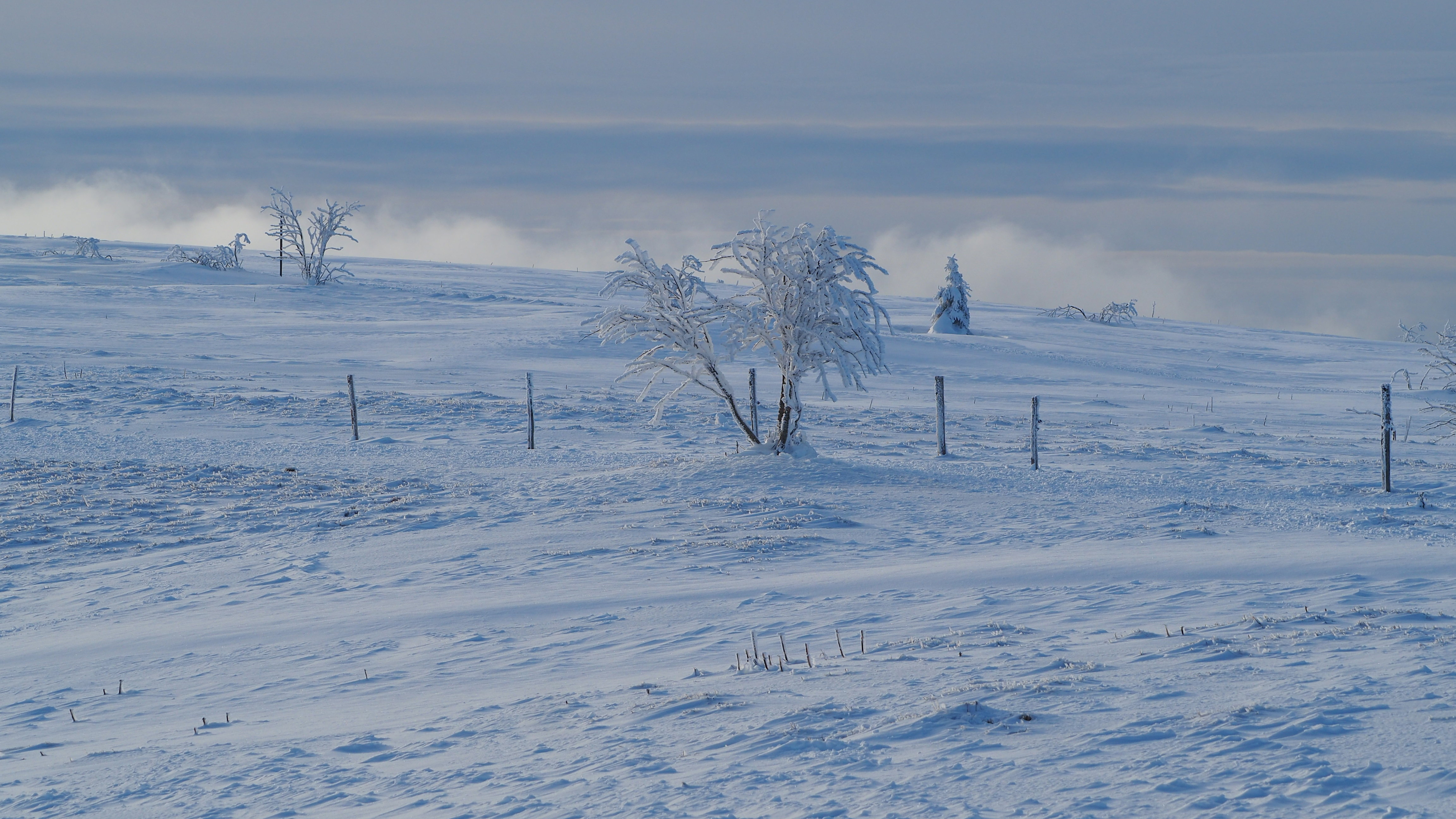 White paradise in the Vosges