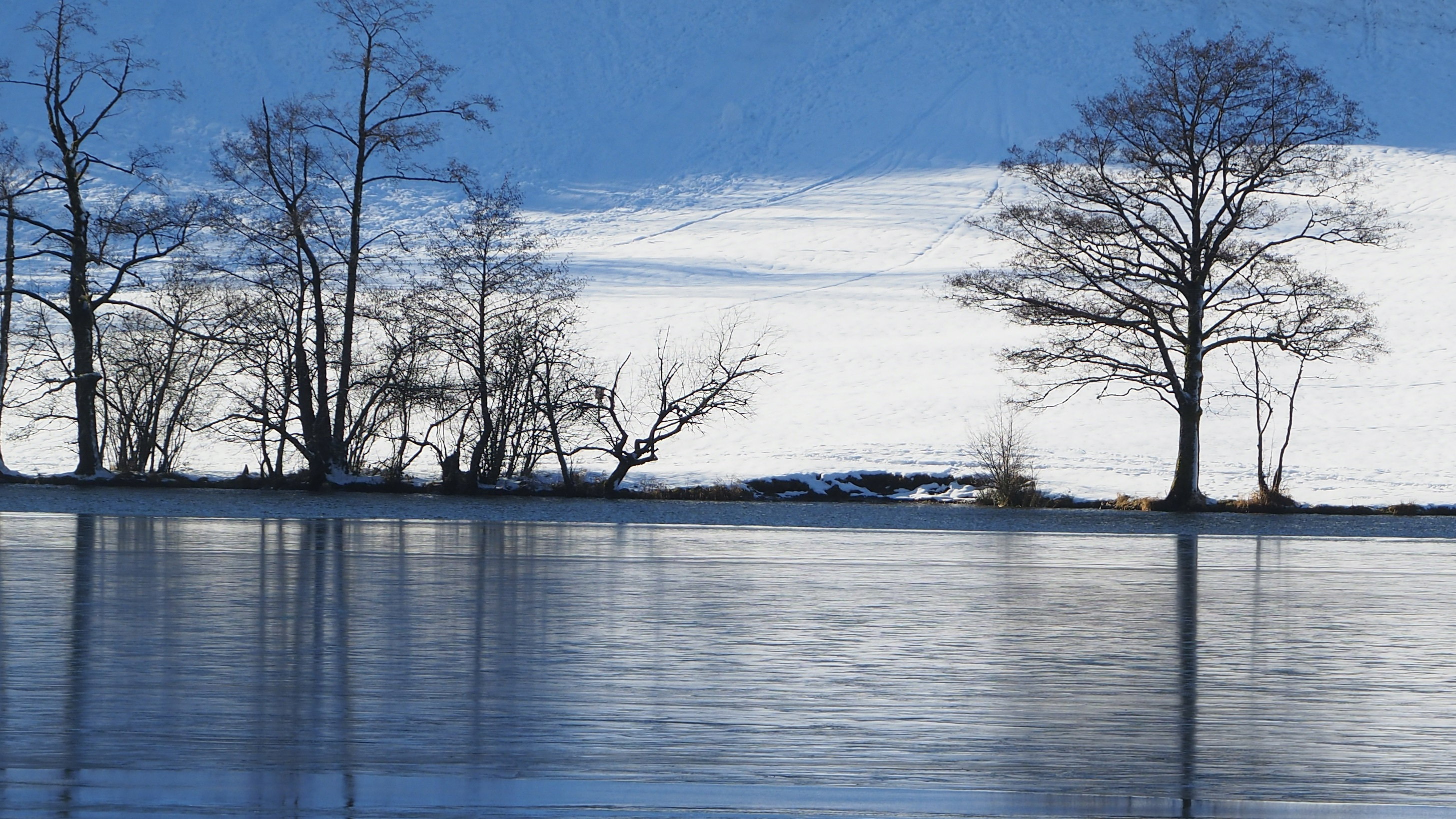 The colors of winter at Longemer Lake