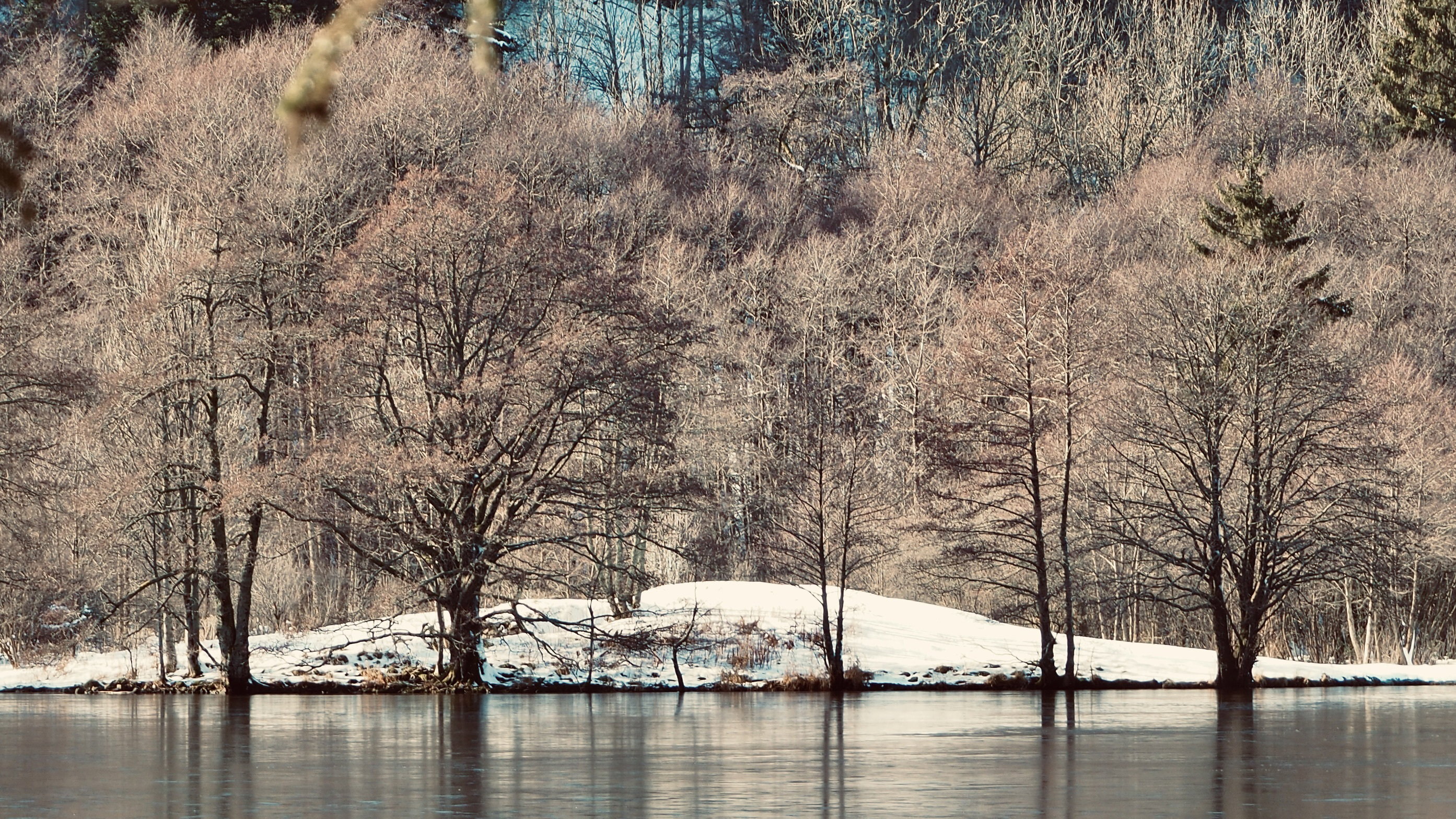 The colors of winter at Longemer Lake