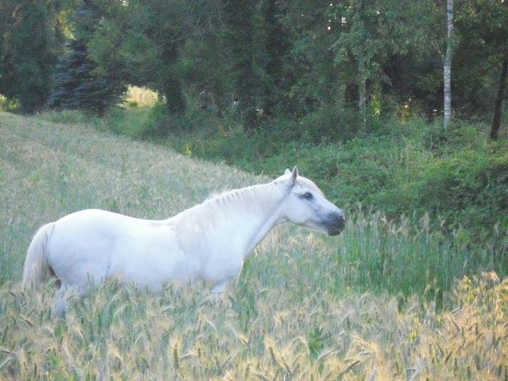 The most beautiful encounters are always unexpected.