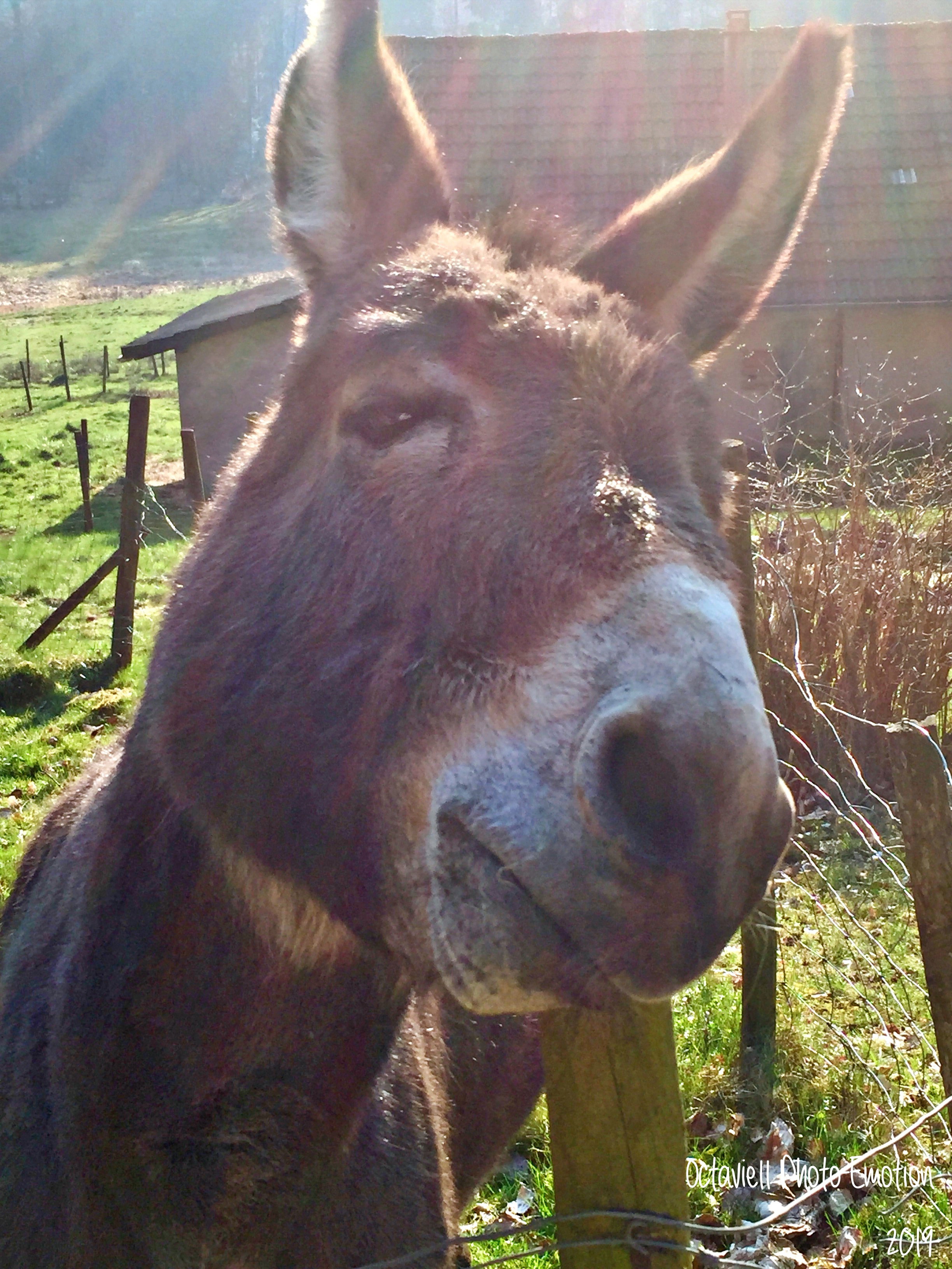 The most beautiful encounters are always unexpected.