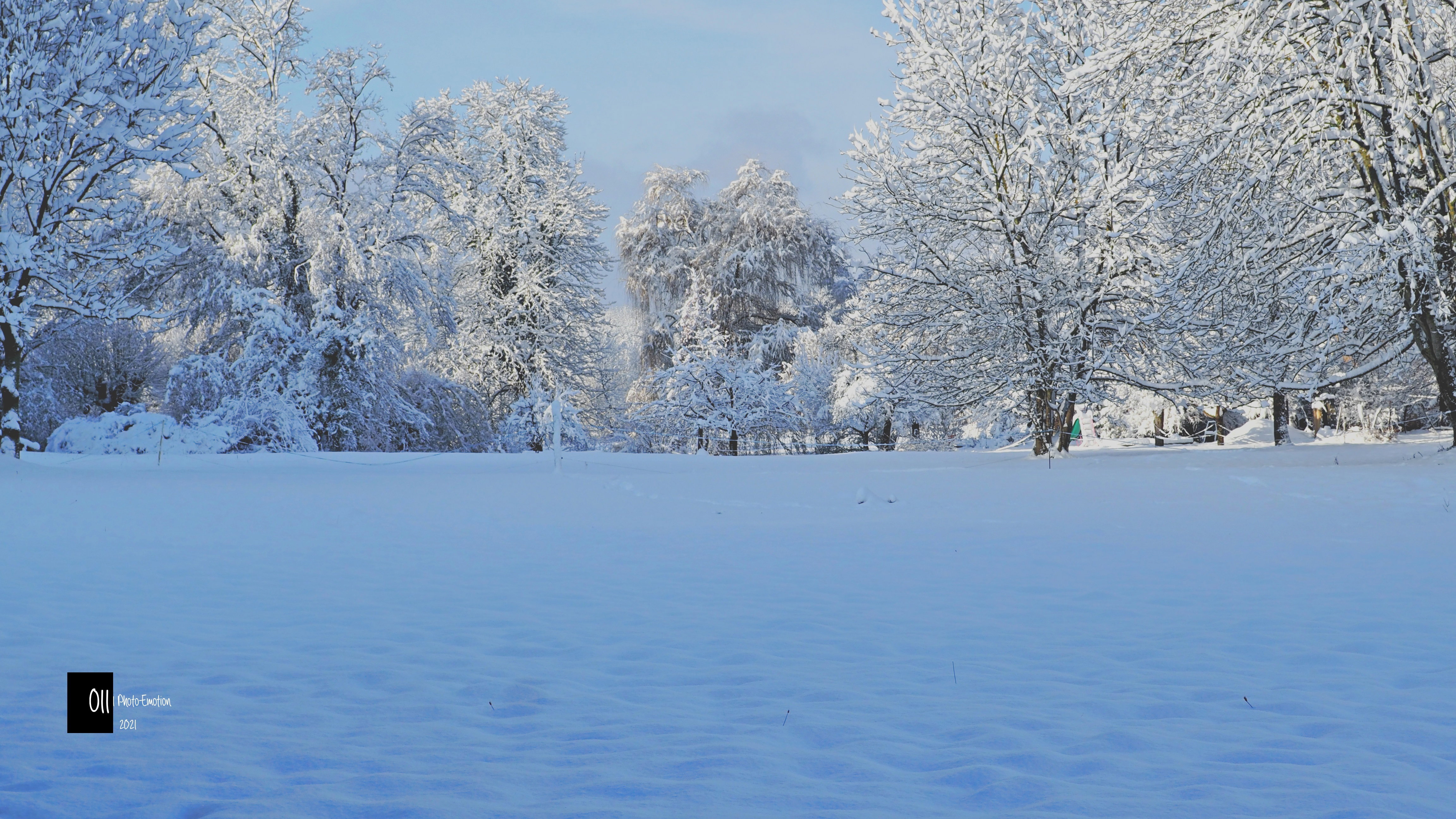 Eternal winter
