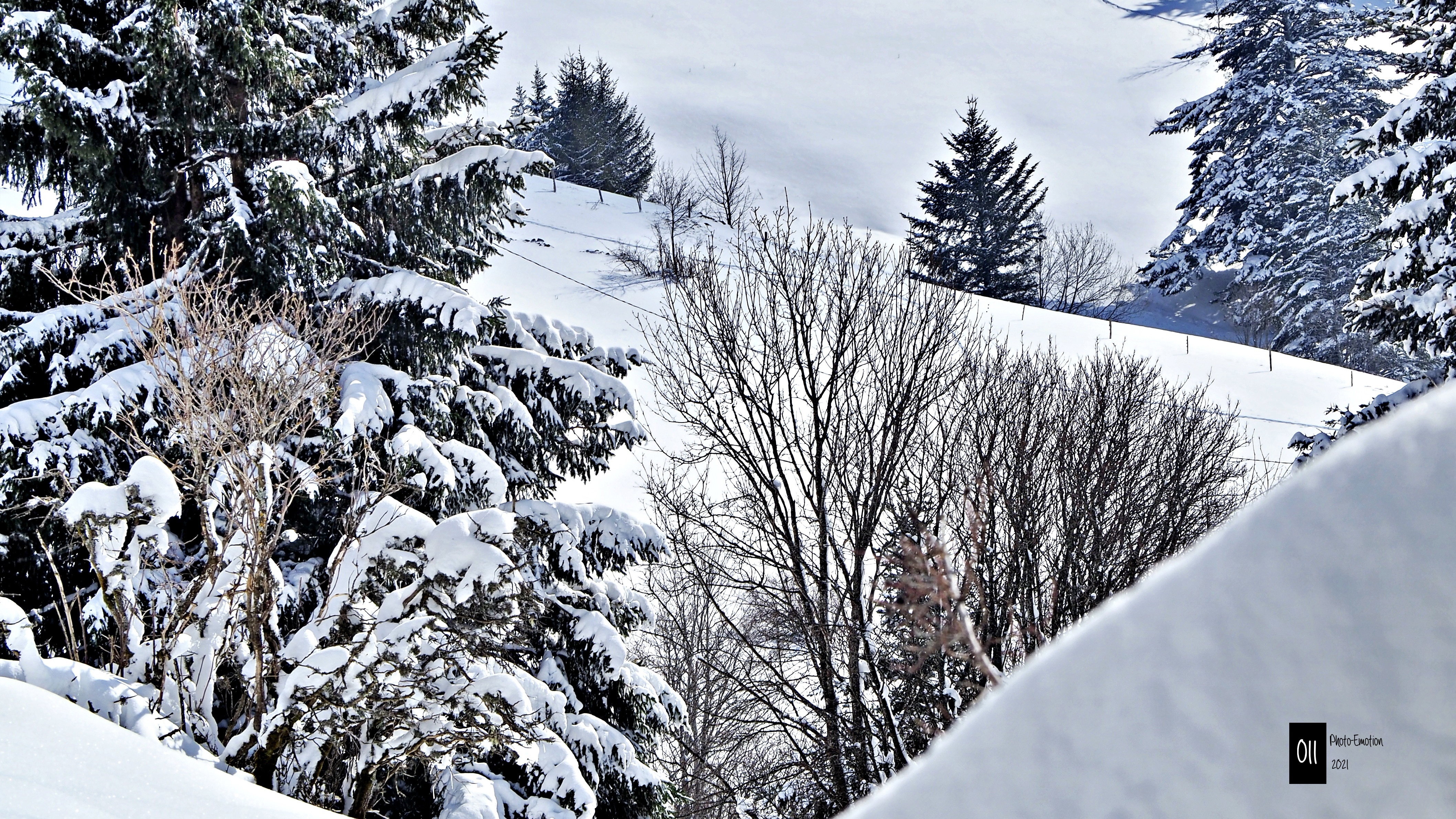 Eternal winter