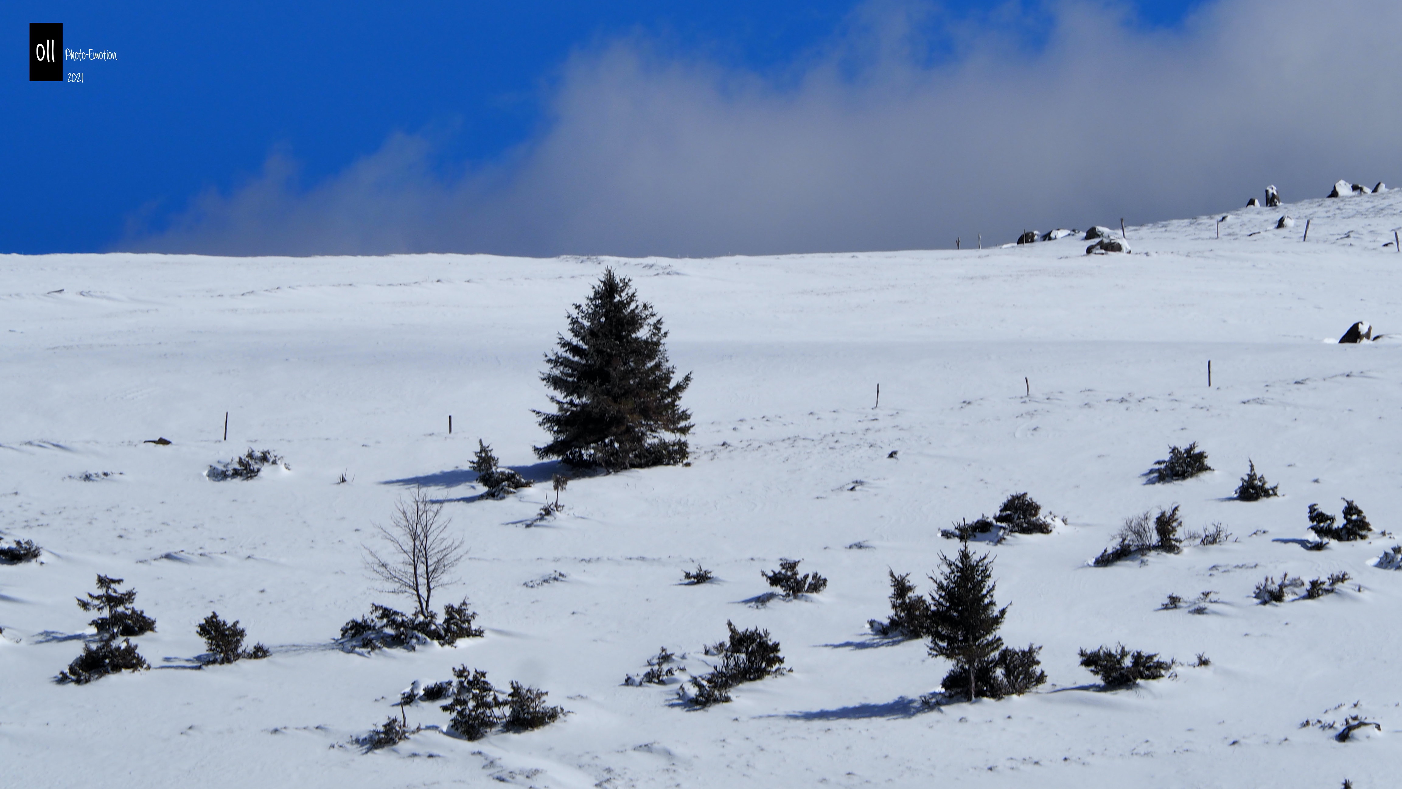 Eternal winter