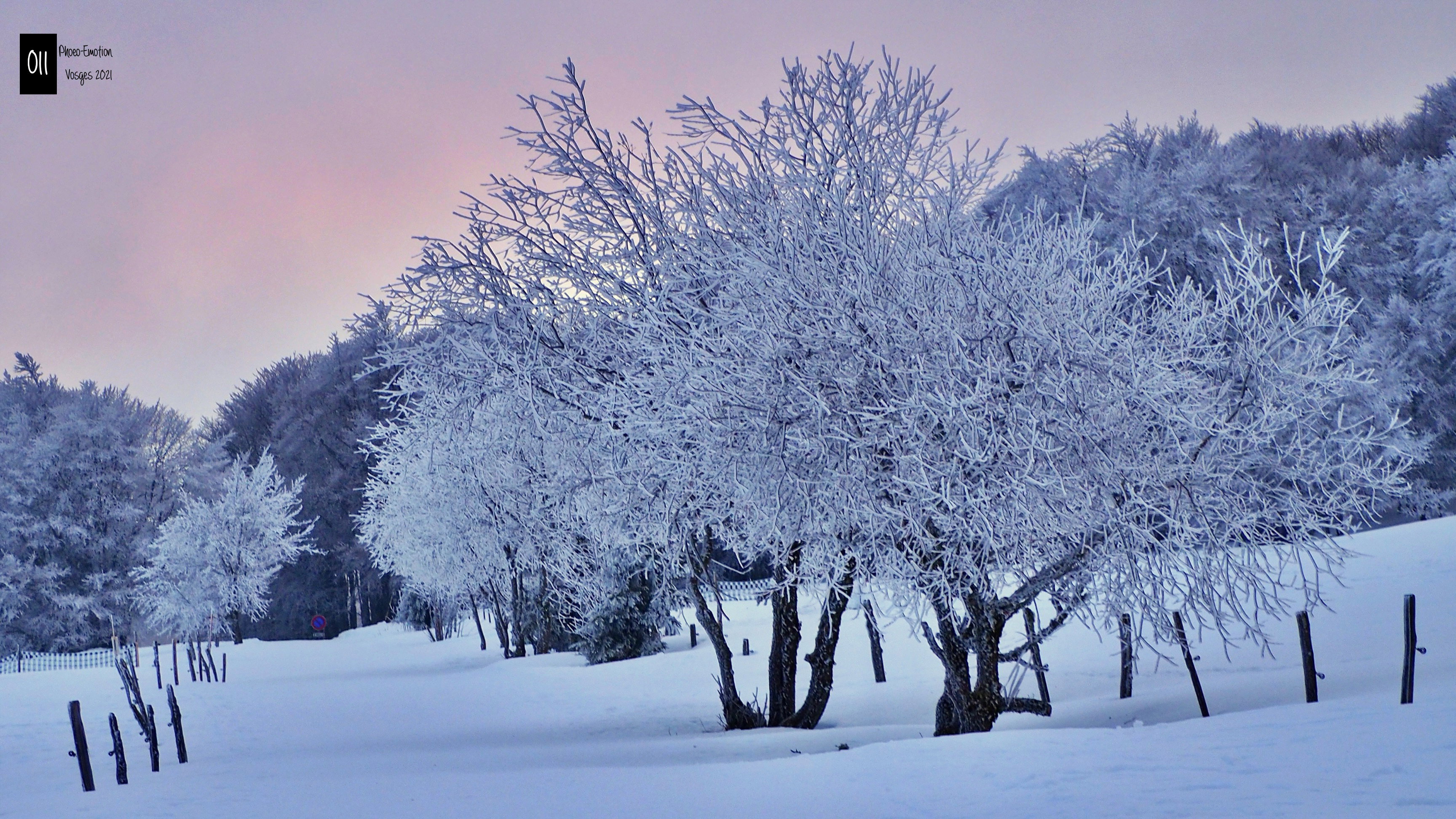 Eternal winter