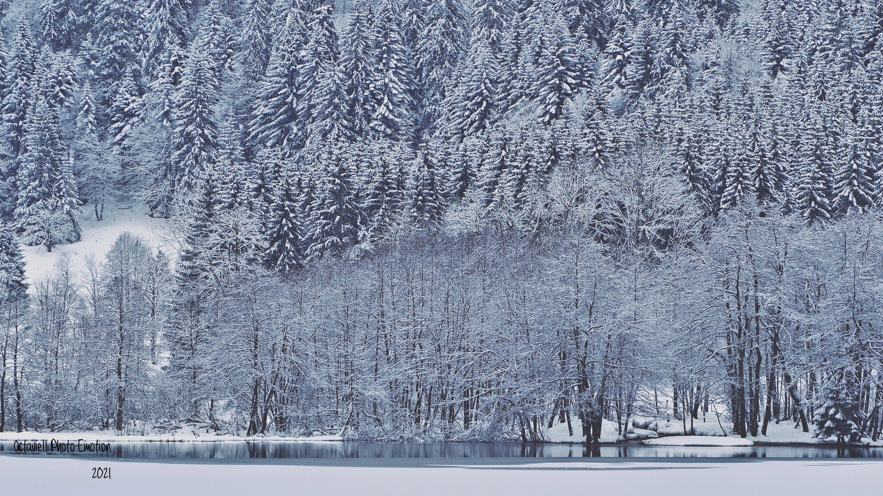 Eternal winter
