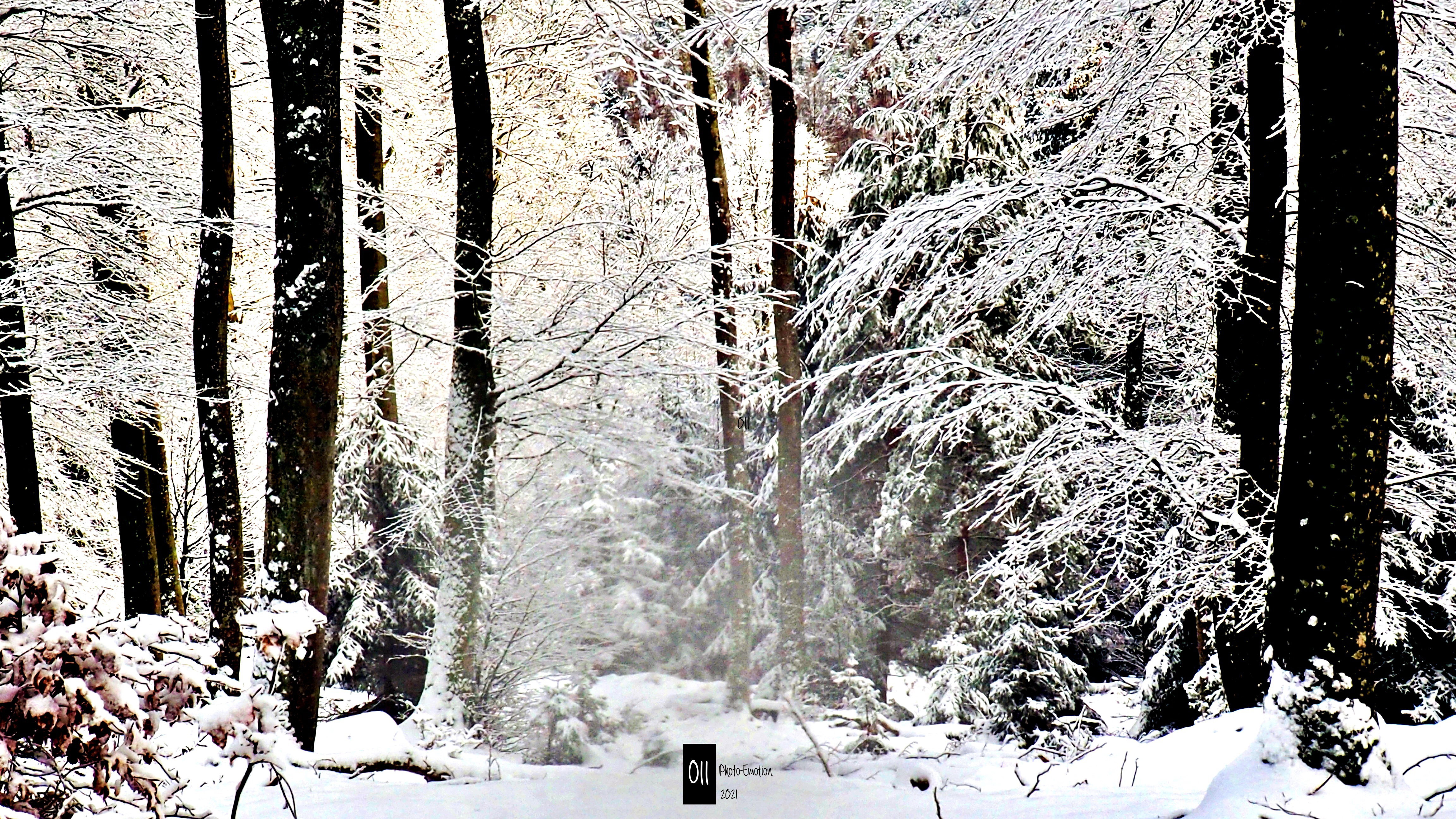 Eternal winter