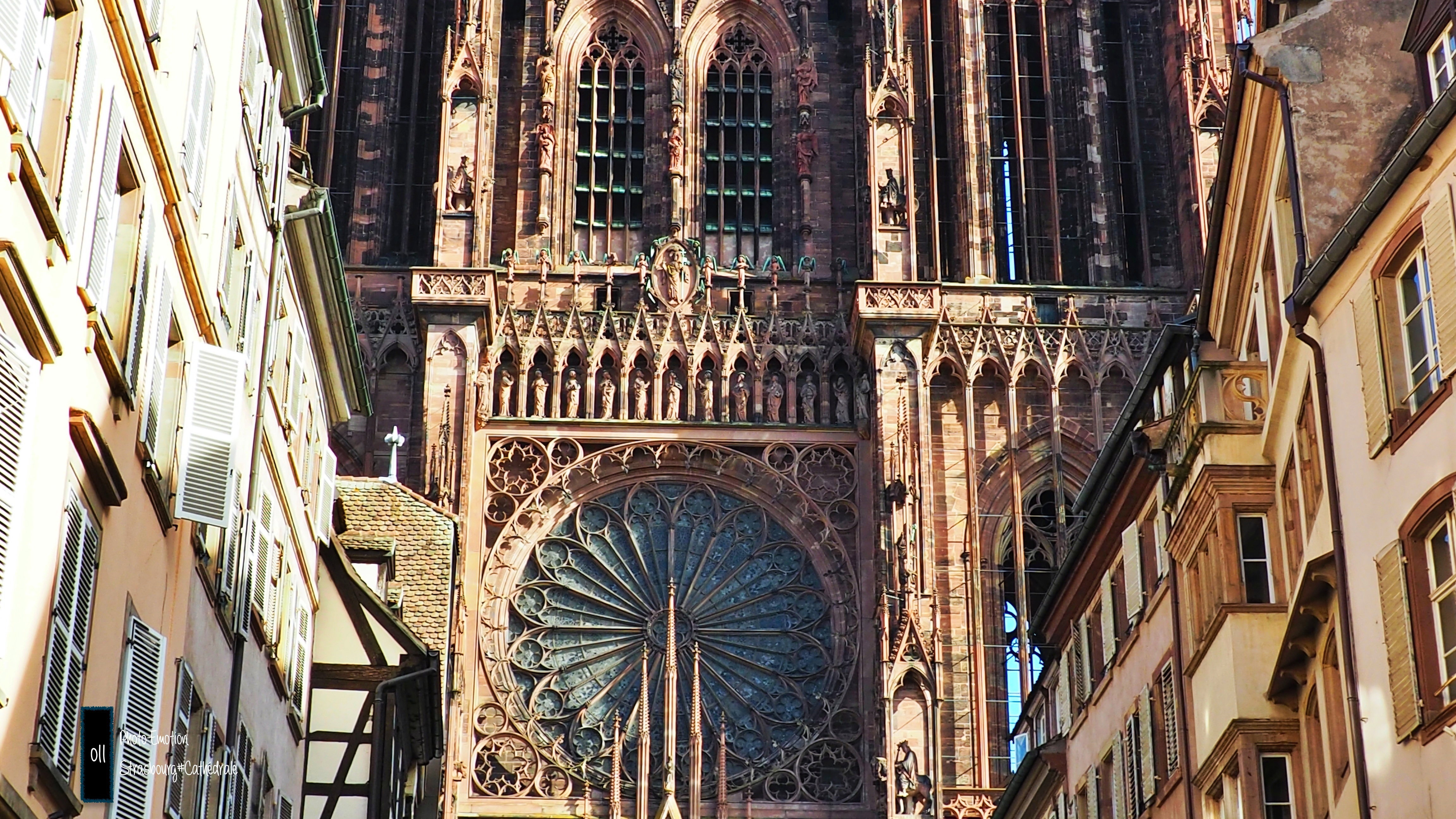 Historical heritage - The cathedrals